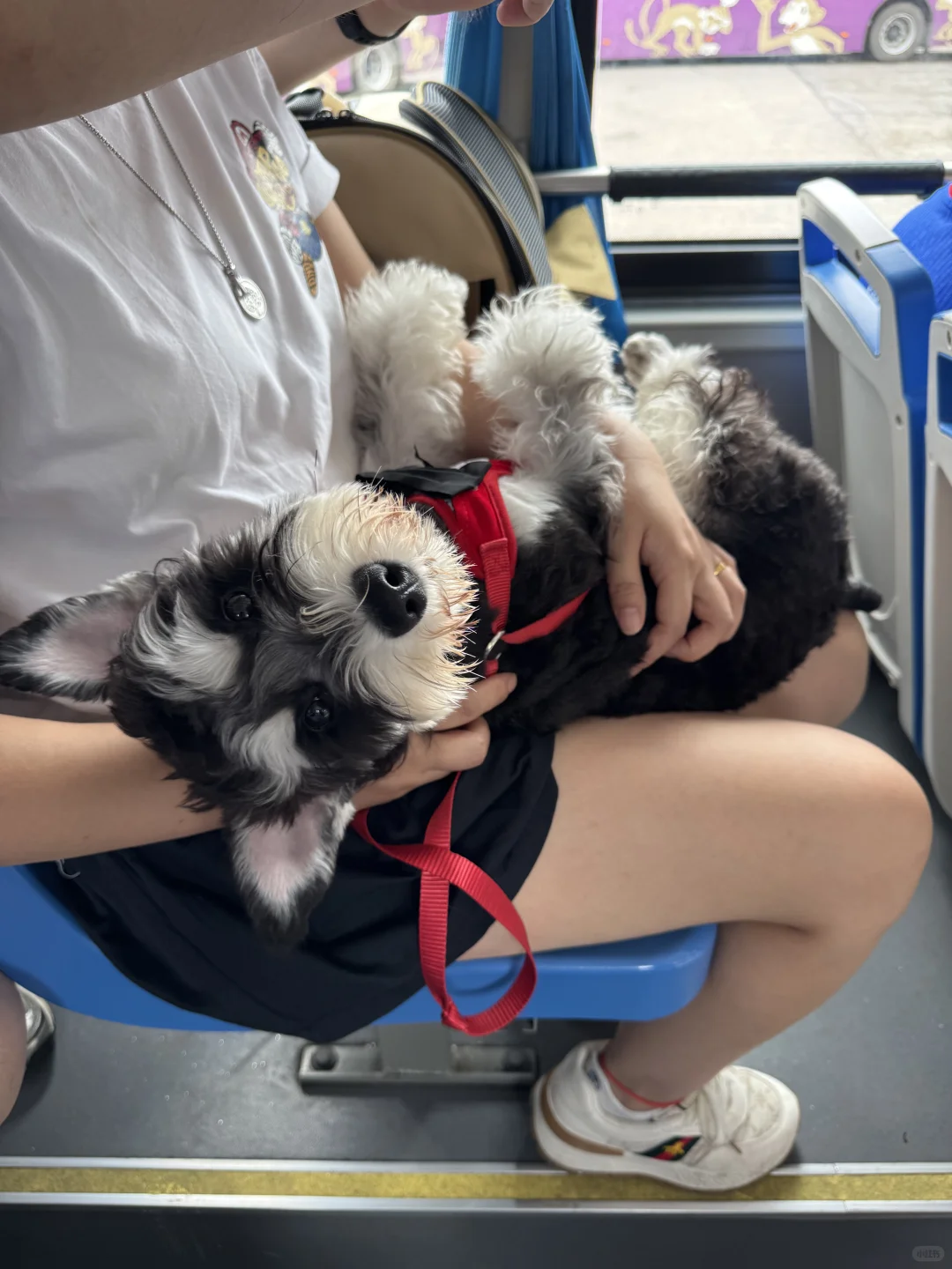 来到张家界好像掉进了神仙的取景地哇🎬