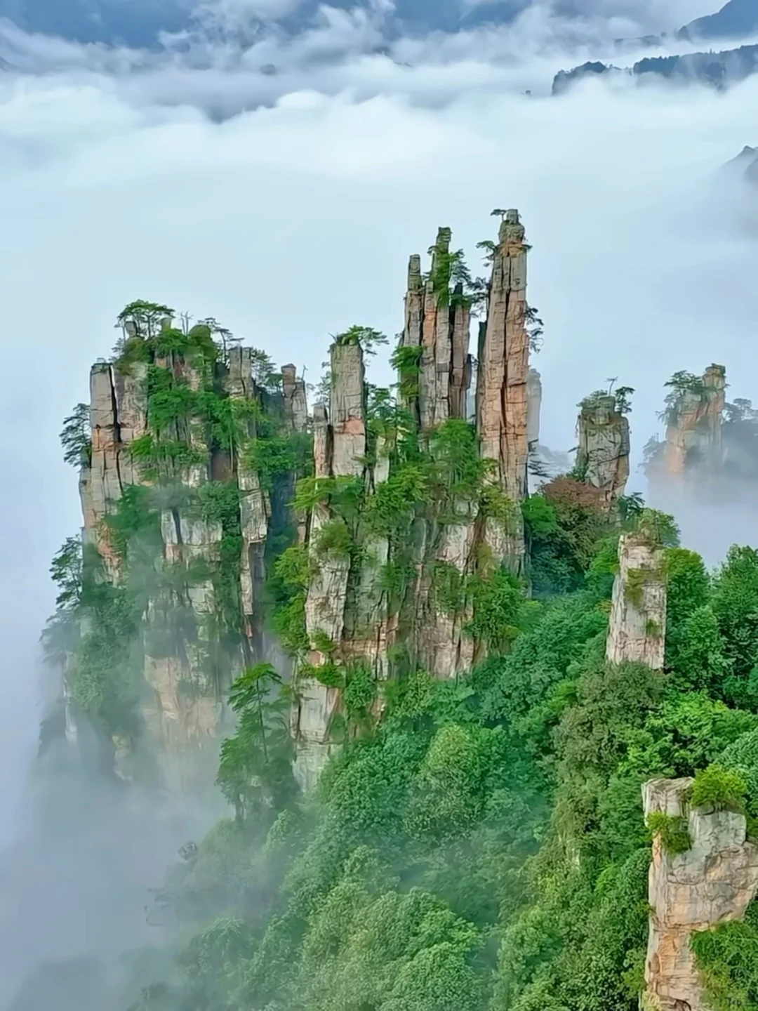 张家界刚回，能劝一个是一个❗坚决不删❗😂