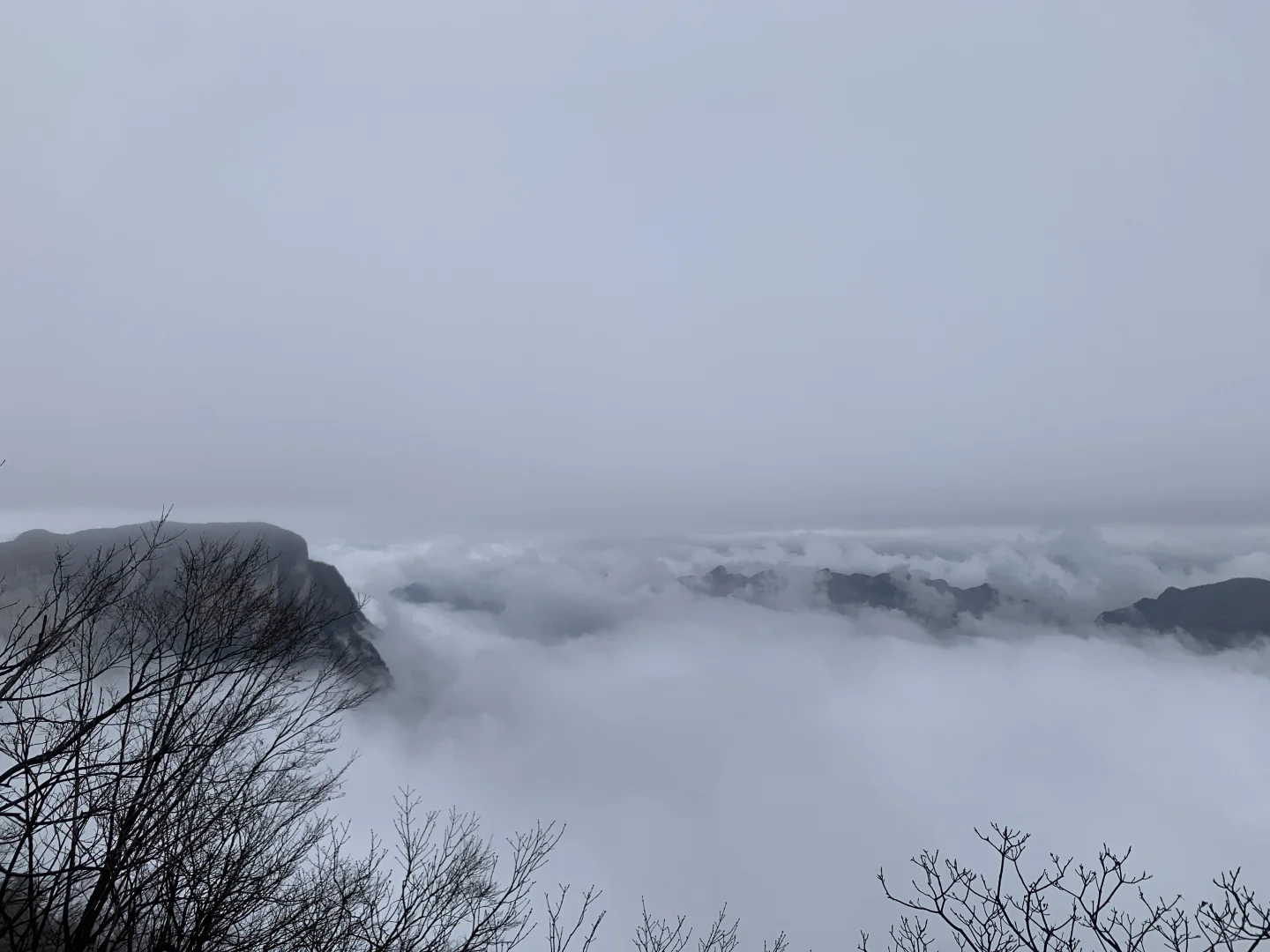 来张家界如何游玩？！