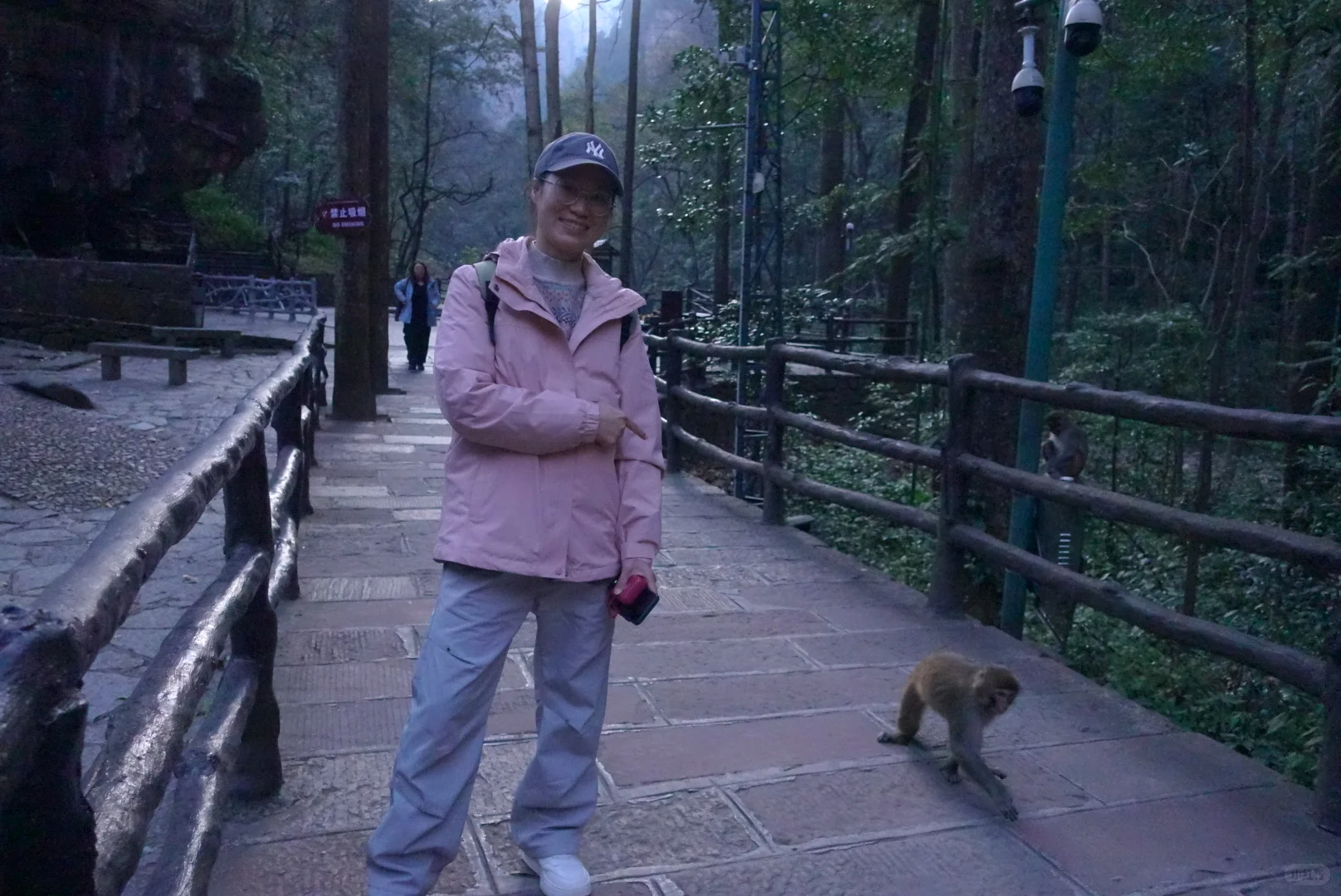 到站张家界第三天