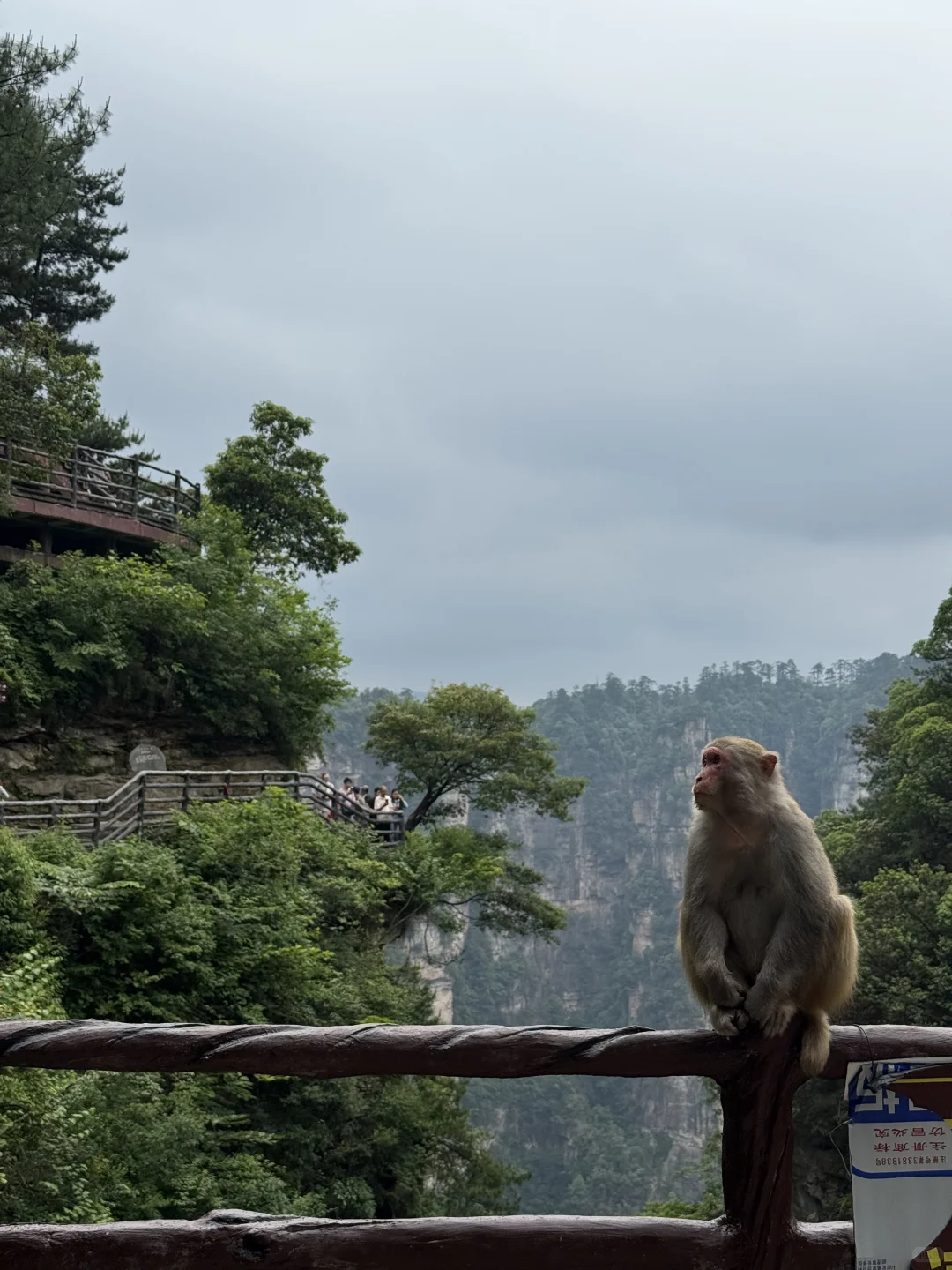 中国张家界国家森林公园～