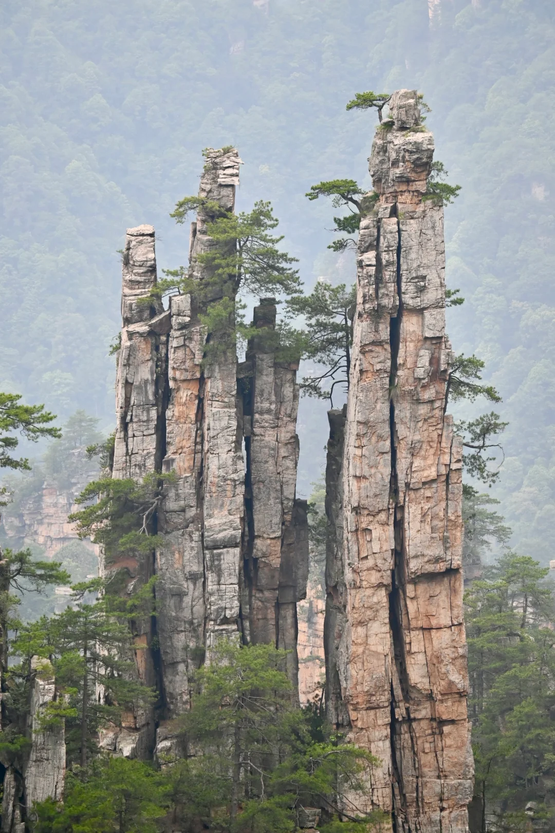 韩国人私藏的中国仙境 张家界