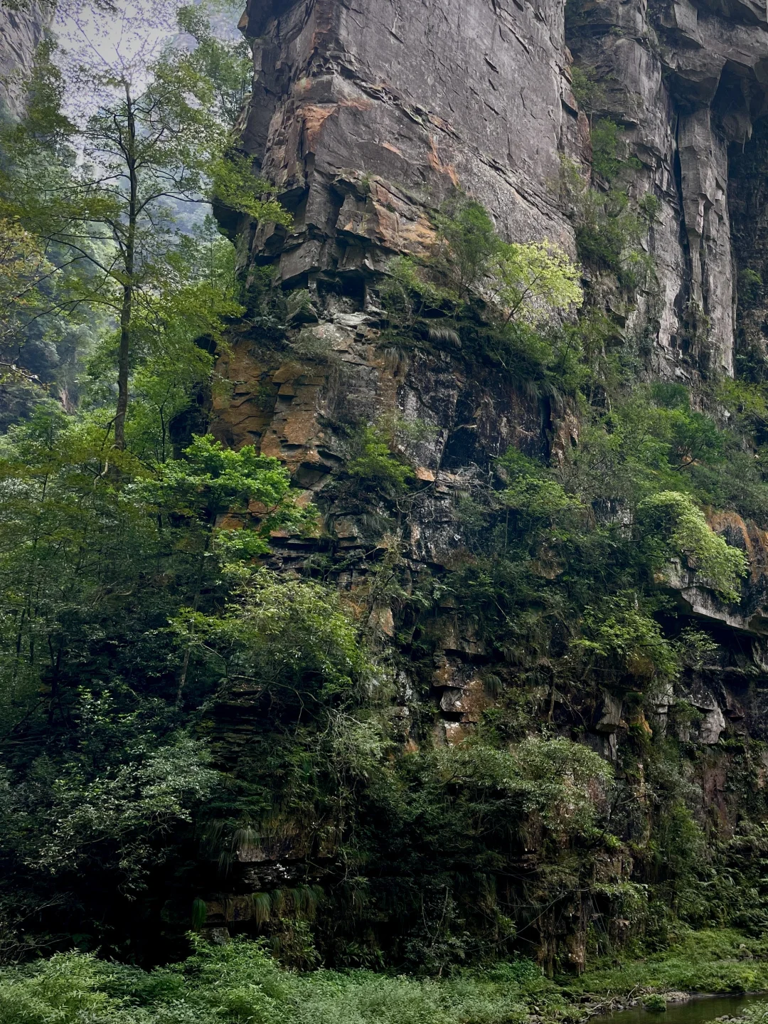 张家界｜大自然的鬼斧神工
