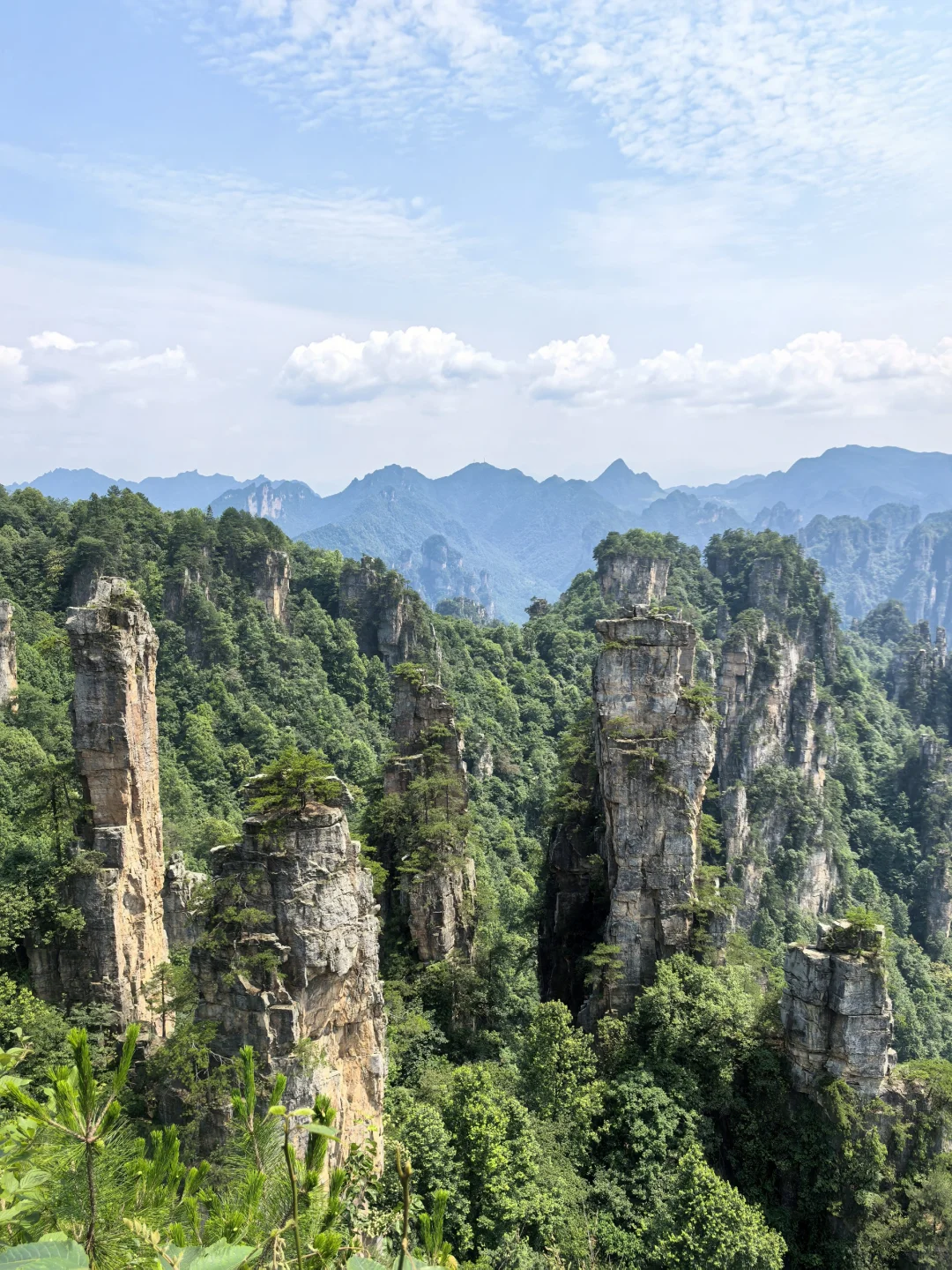不愧是世界的张家界！！！