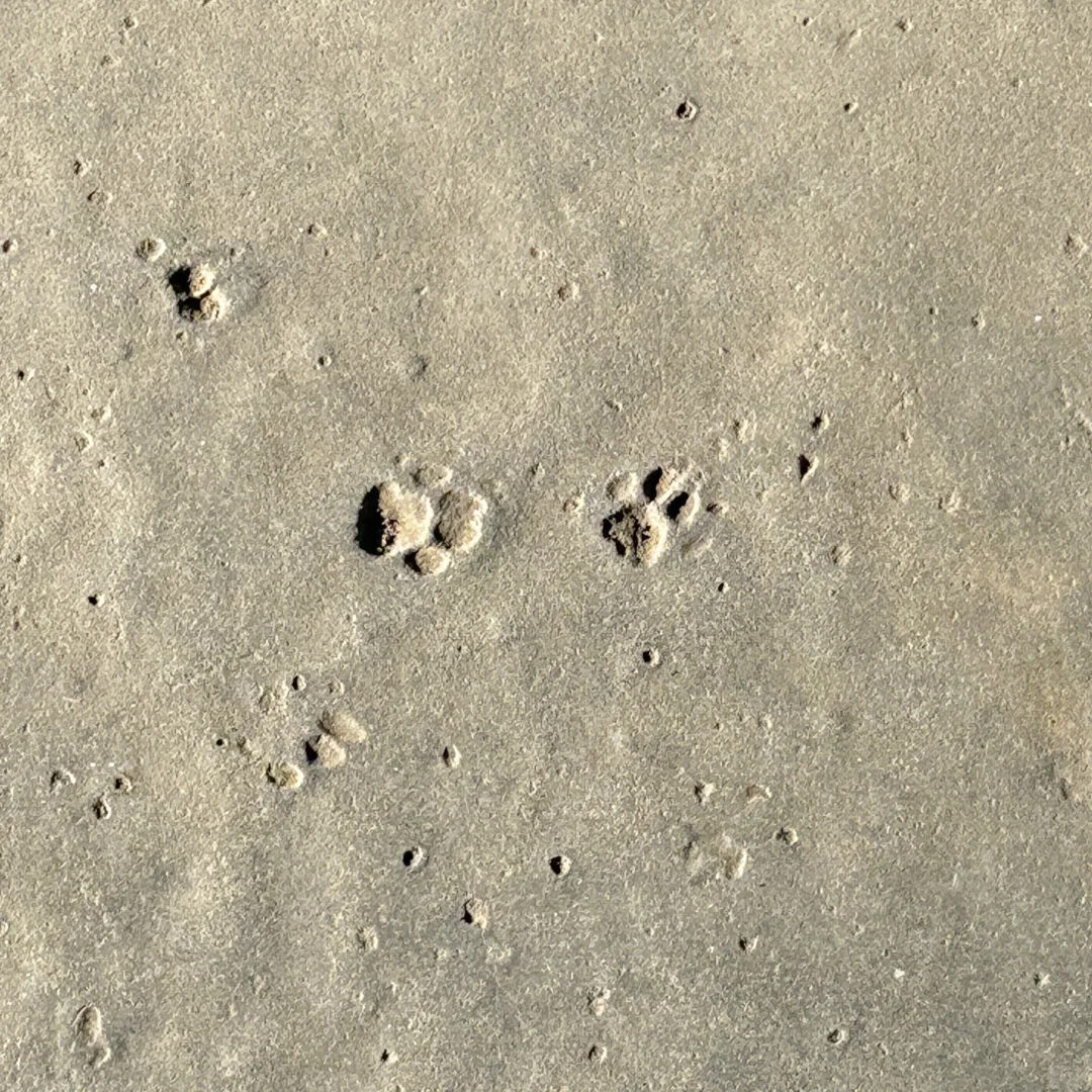 张家界天门山现在一定要走B线