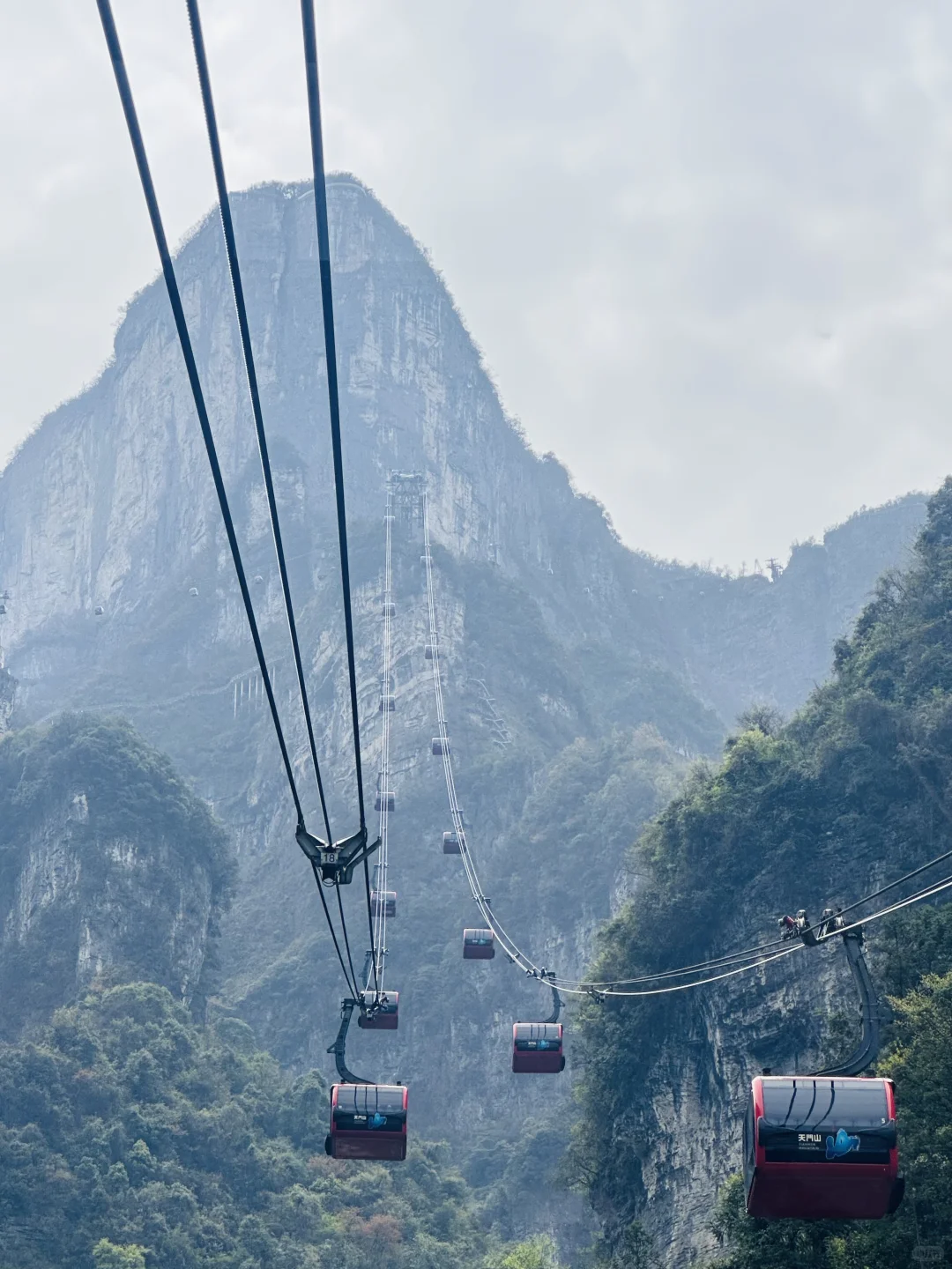 📍Zhang Jia Jie 张家界