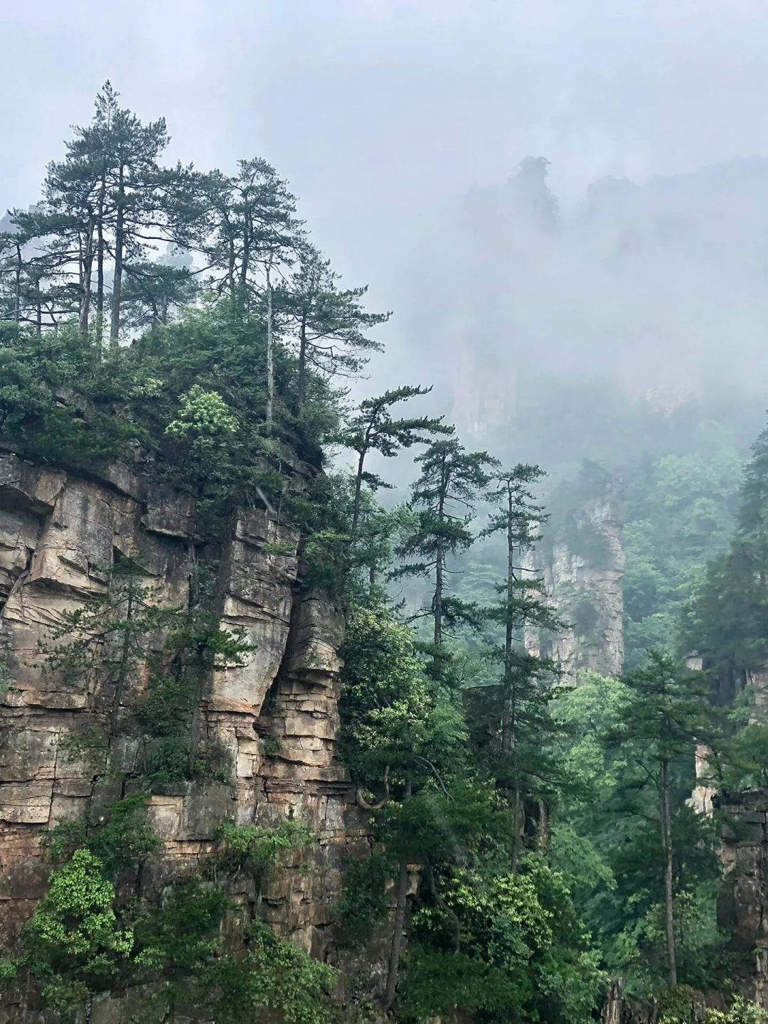 张家界带娃已回，真心提醒下暑假去的宝妈们