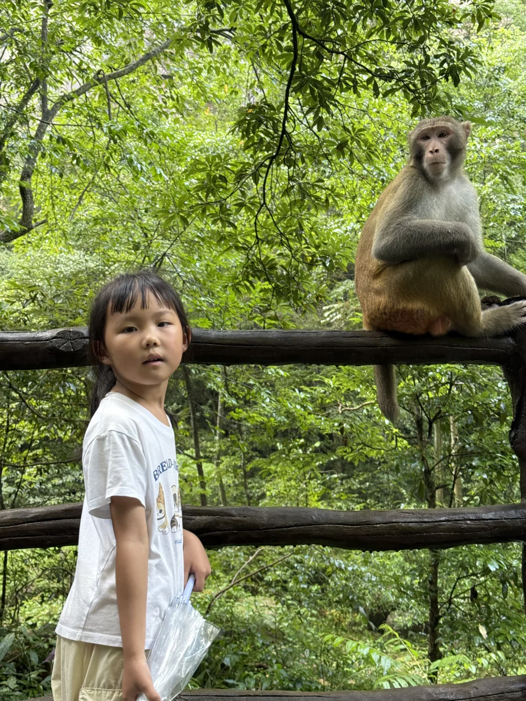 作为湖南人，真的后悔才来张家界，附详细路线
