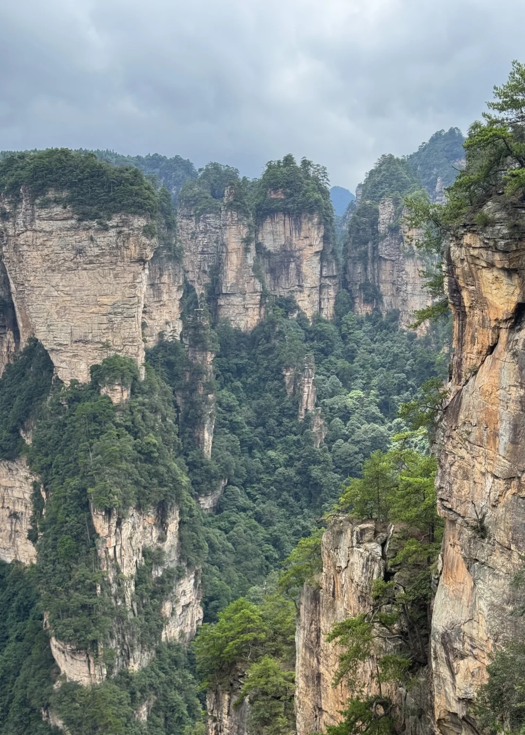 张家界森林公园一日路线（A线）