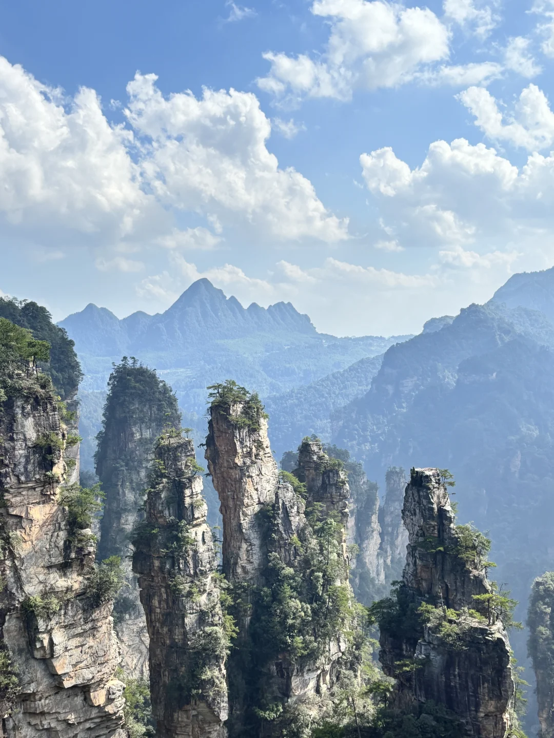📍湖南张家界|看见仙山了！张家界森林公园