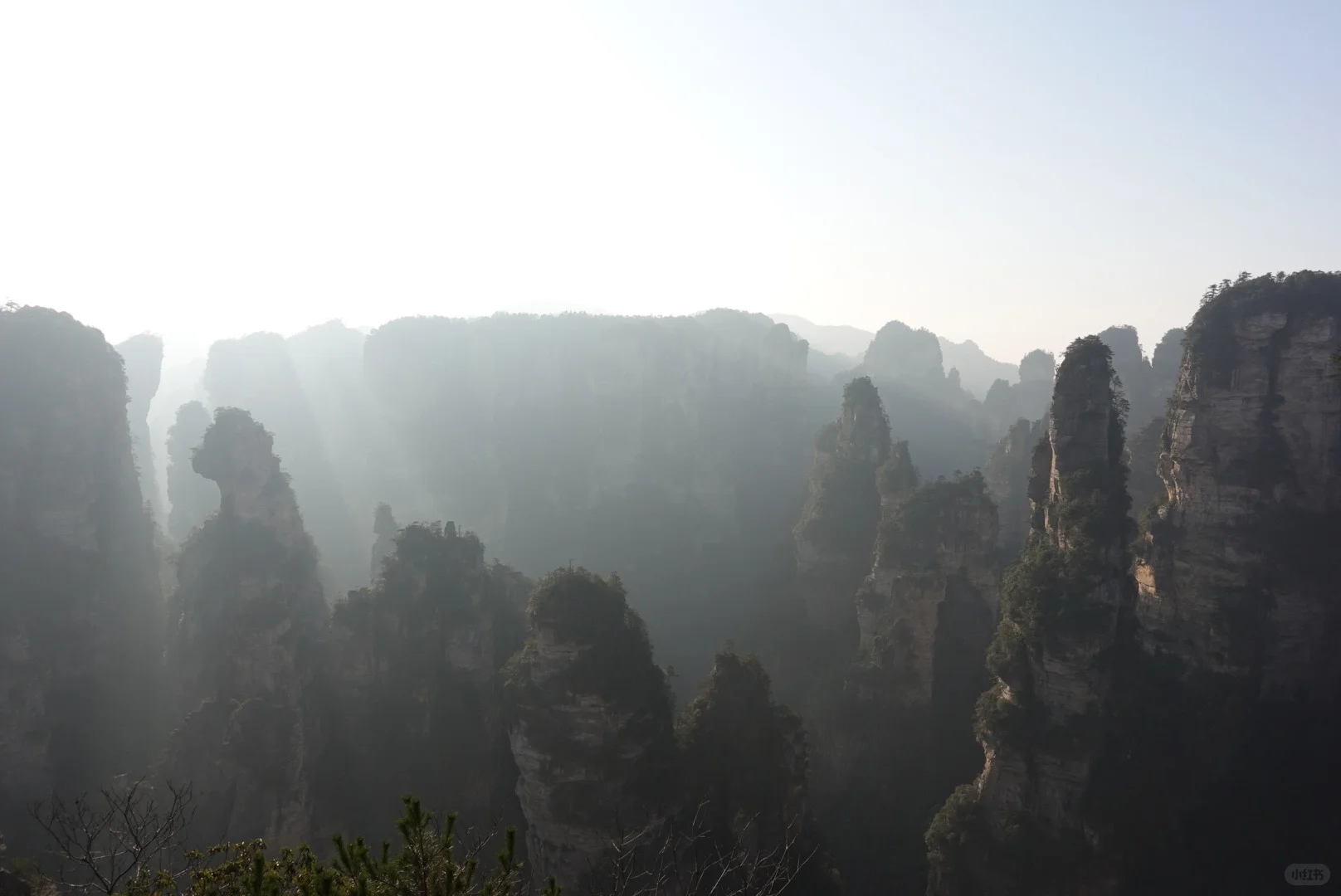 到站张家界第三天