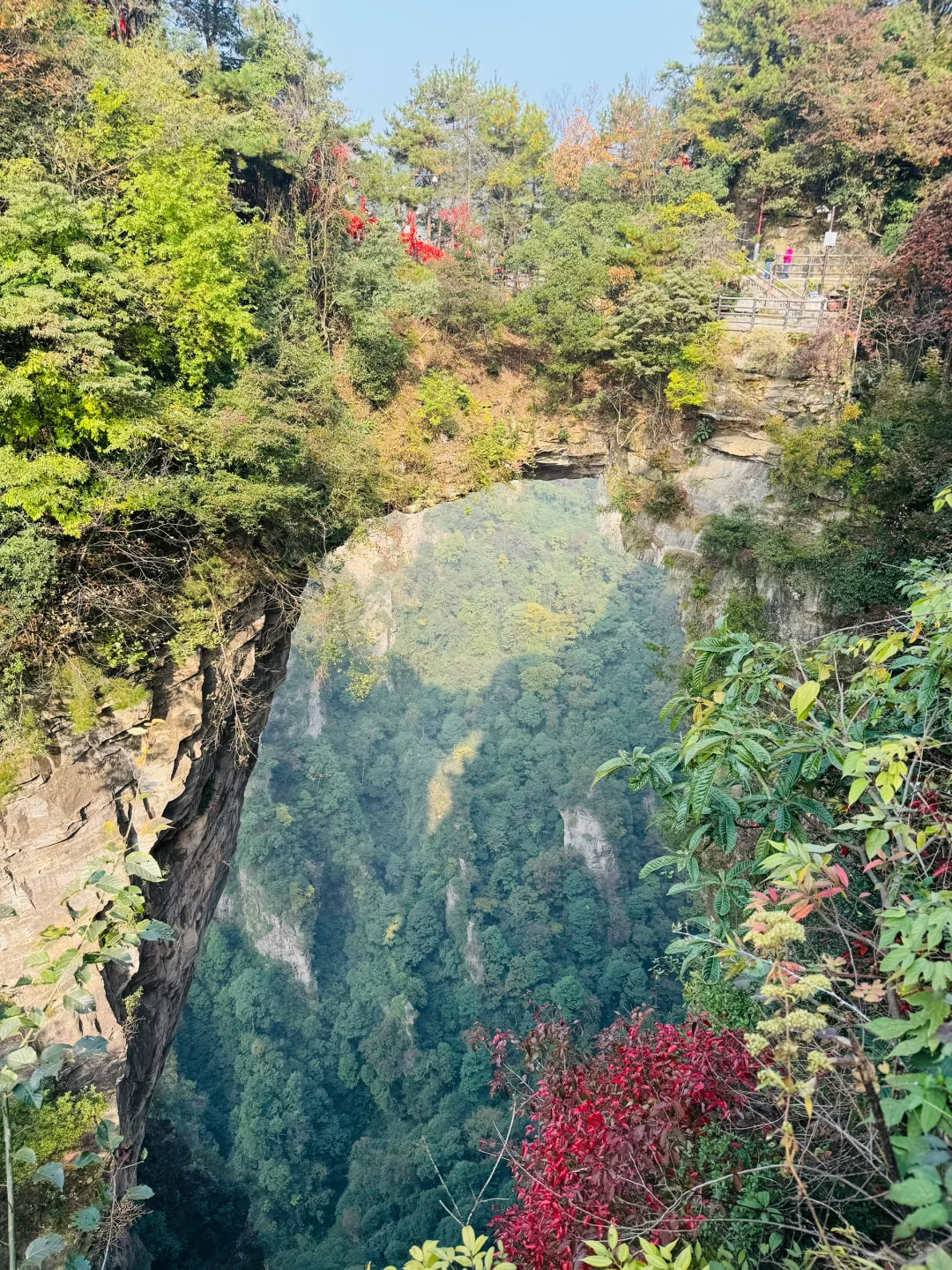 南国之旅9: 湖南张家界