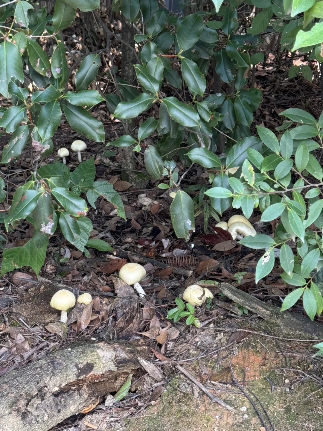 来到张家界好像掉进了神仙的取景地哇🎬