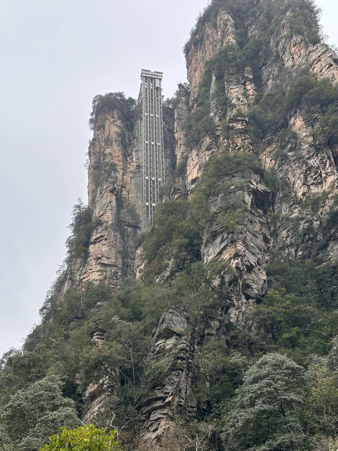 巢栖山居探店｜张家界3天2晚亲子之旅❤️