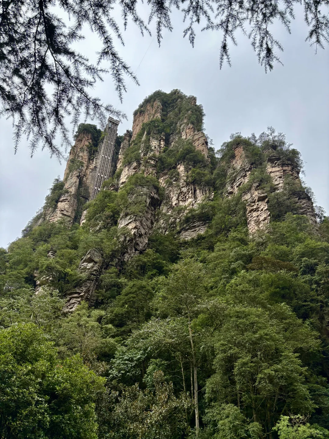 这才是张家界该有的样子