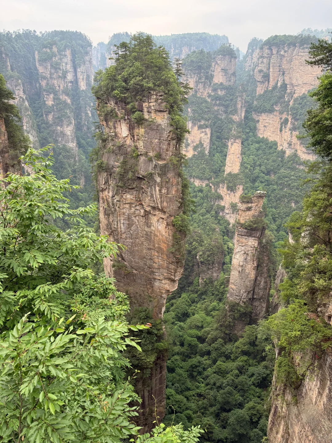 中国张家界国家森林公园～