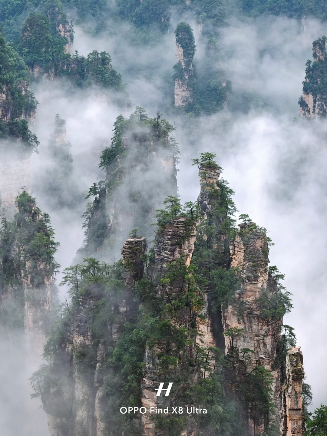 去了张家界，才知道水墨画还是太保守了……