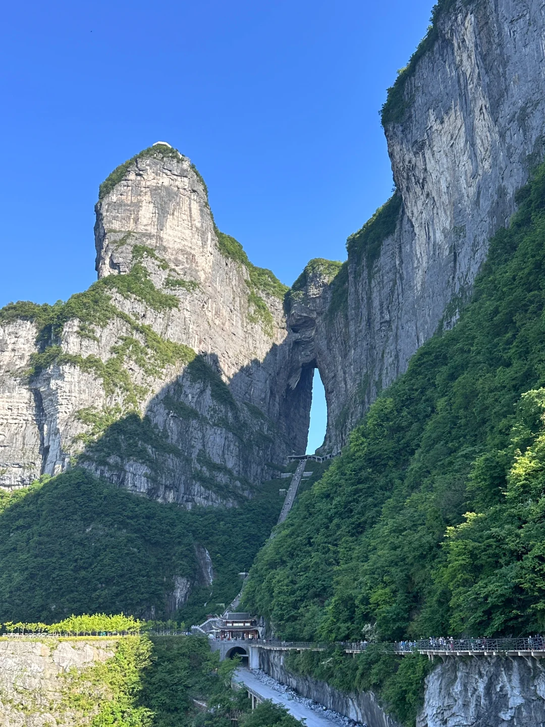 📍 𝐙𝐡𝐚𝐧𝐠 𝐣𝐢𝐚 𝐣𝐢𝐞