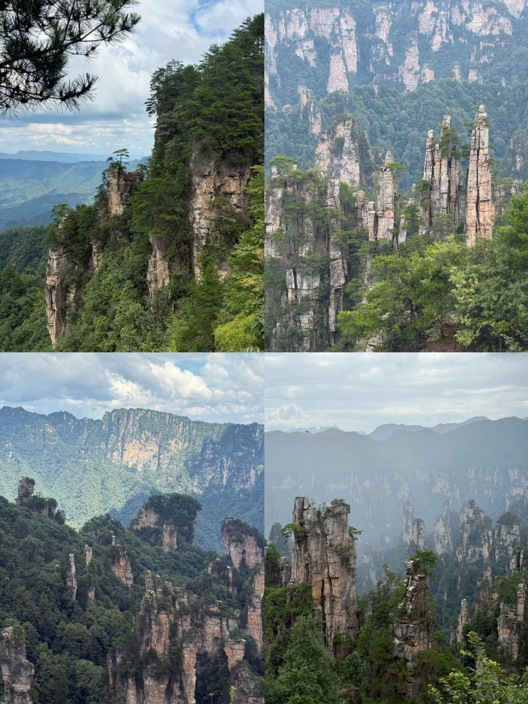 张家界森林公园超详细攻略！门票游玩全说明