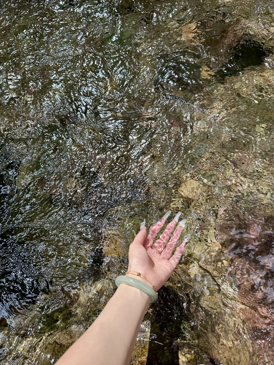 重生之我在张家界当野人