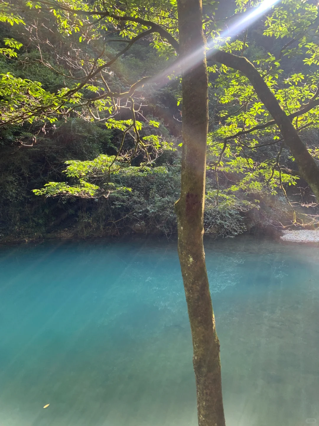 来张家界如何游玩？！