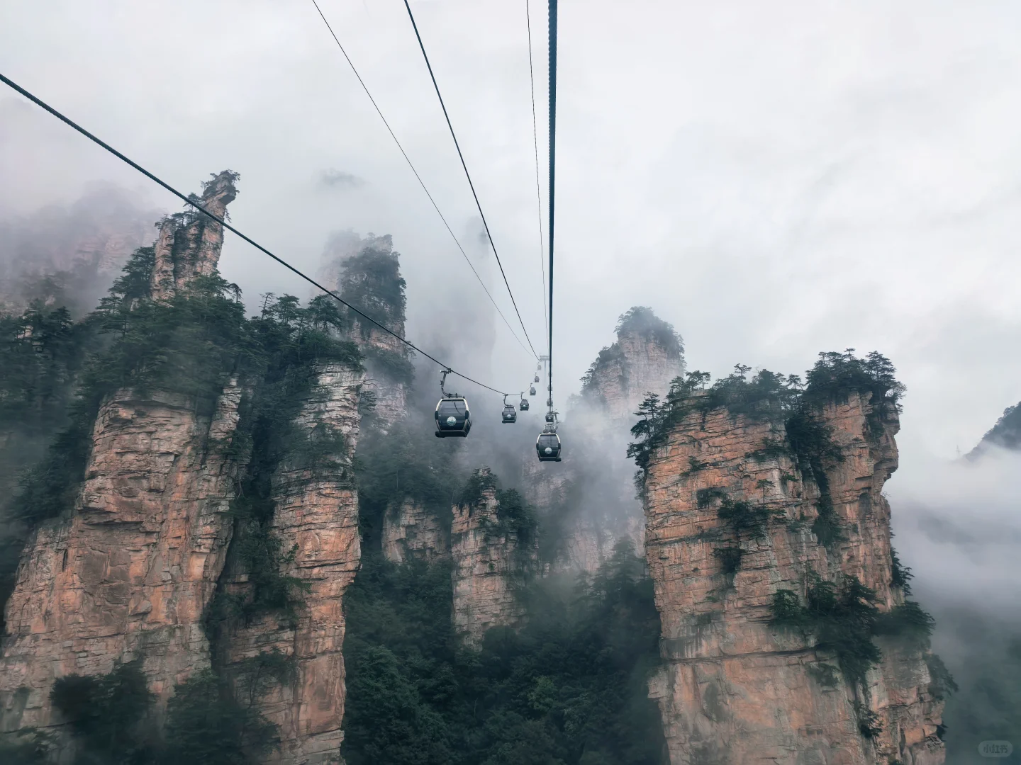 📍张家界 | 武陵源