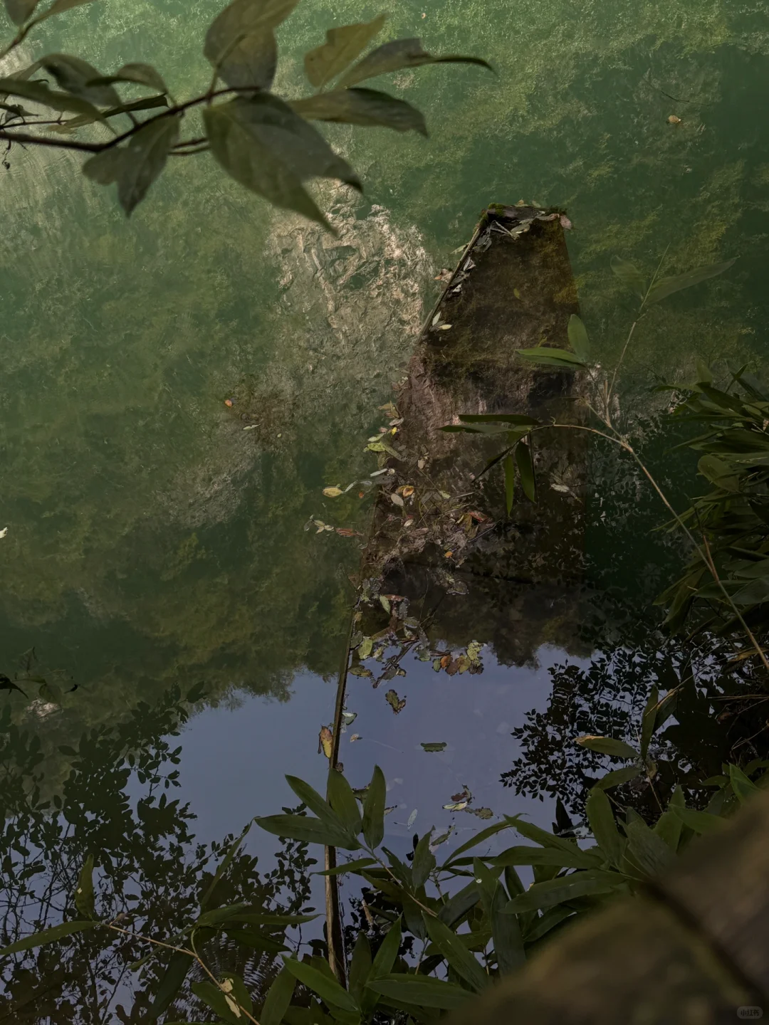 来张家界如何游玩？！