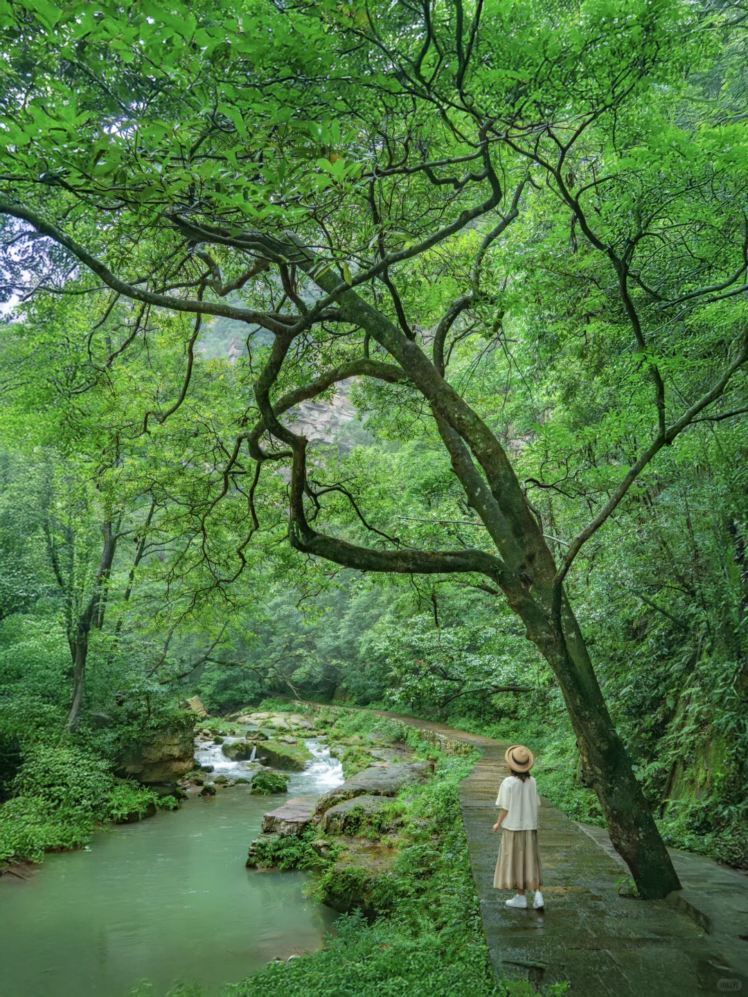 张家界‼️这么美你不宣传❓你糊涂啊😭