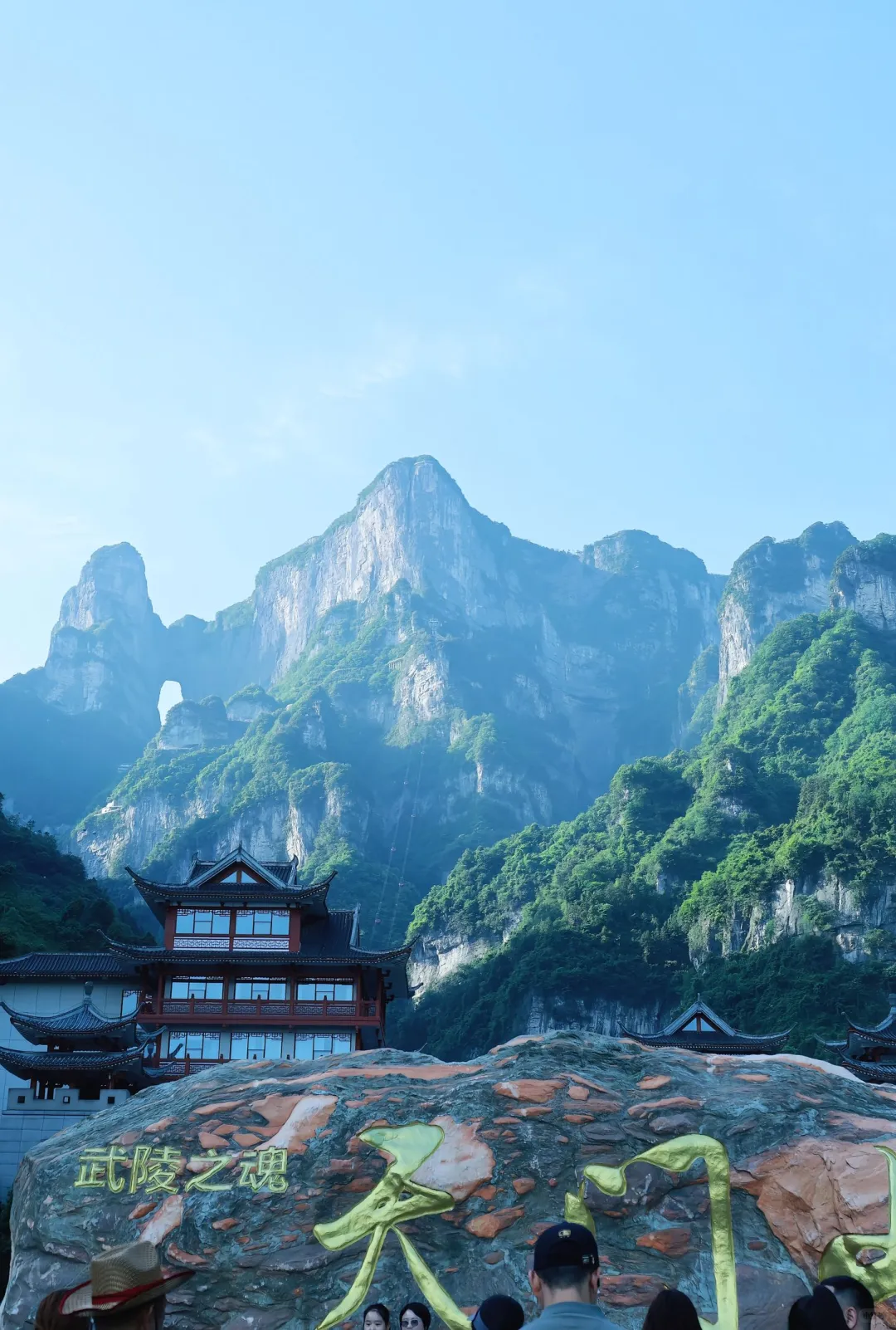 张家界已回（已被宰）内容很脏，但很真实！