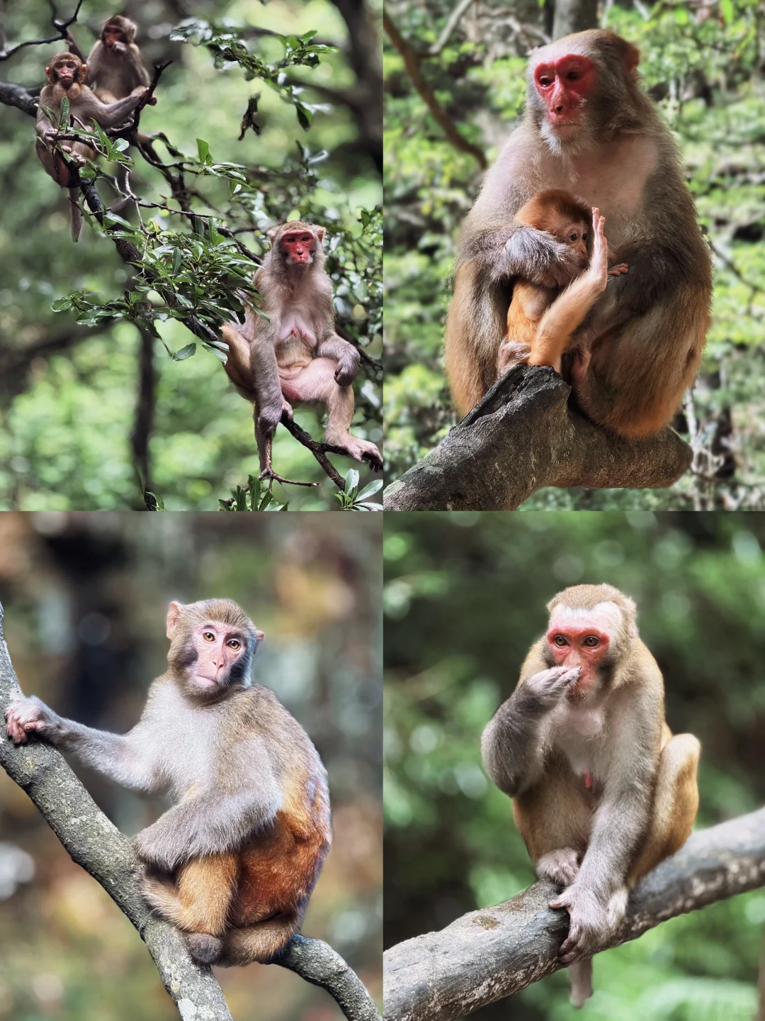 张家界森林公园超详细攻略！门票游玩全说明