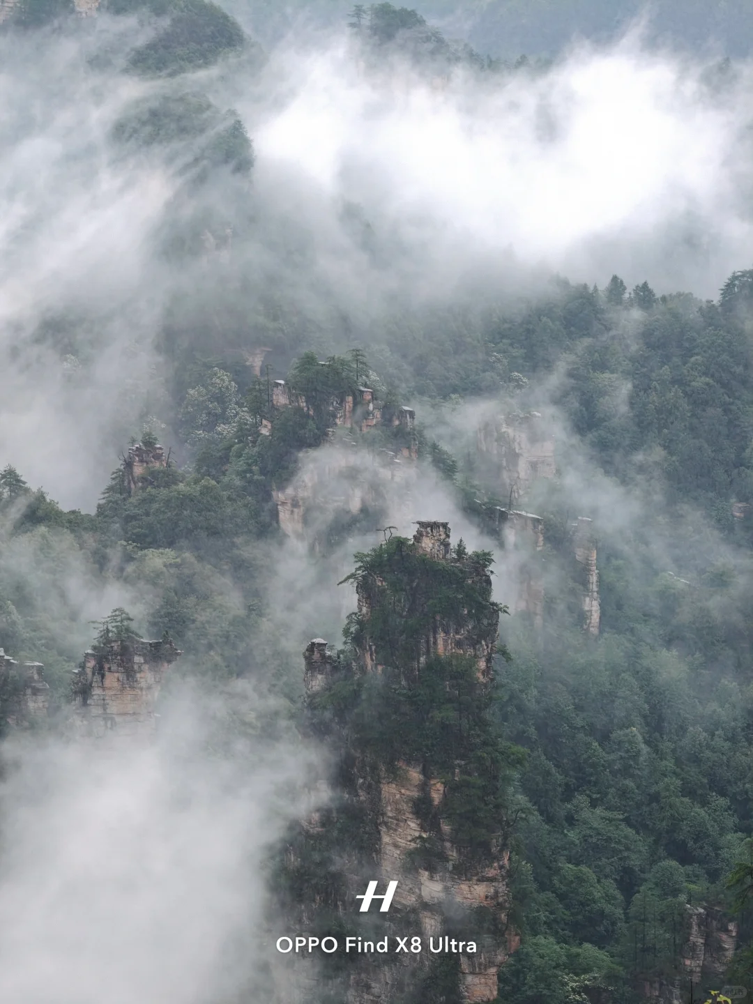 去了张家界，才知道水墨画还是太保守了……