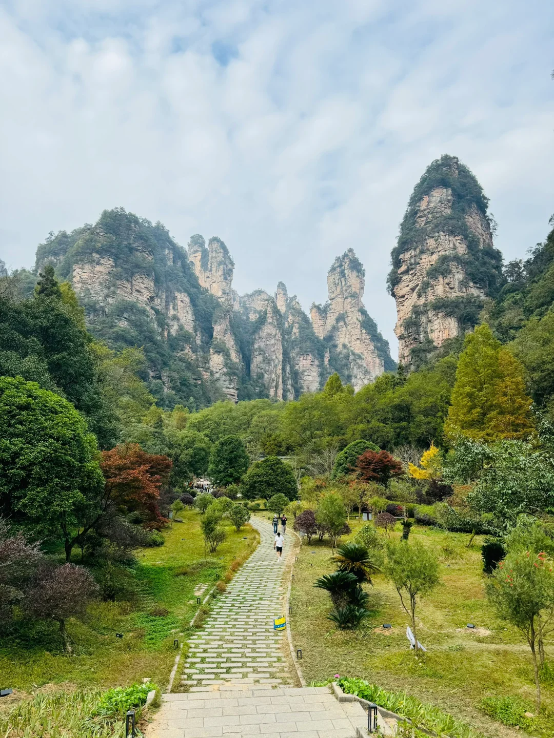 南国之旅9: 湖南张家界