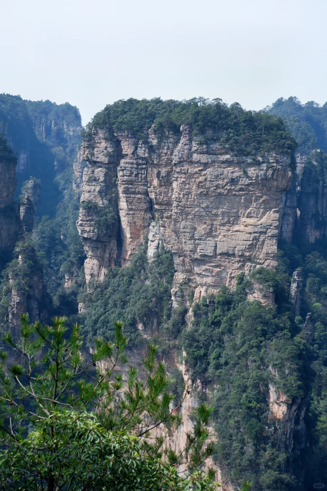 闯入阿凡达的潘多拉星球⛰️