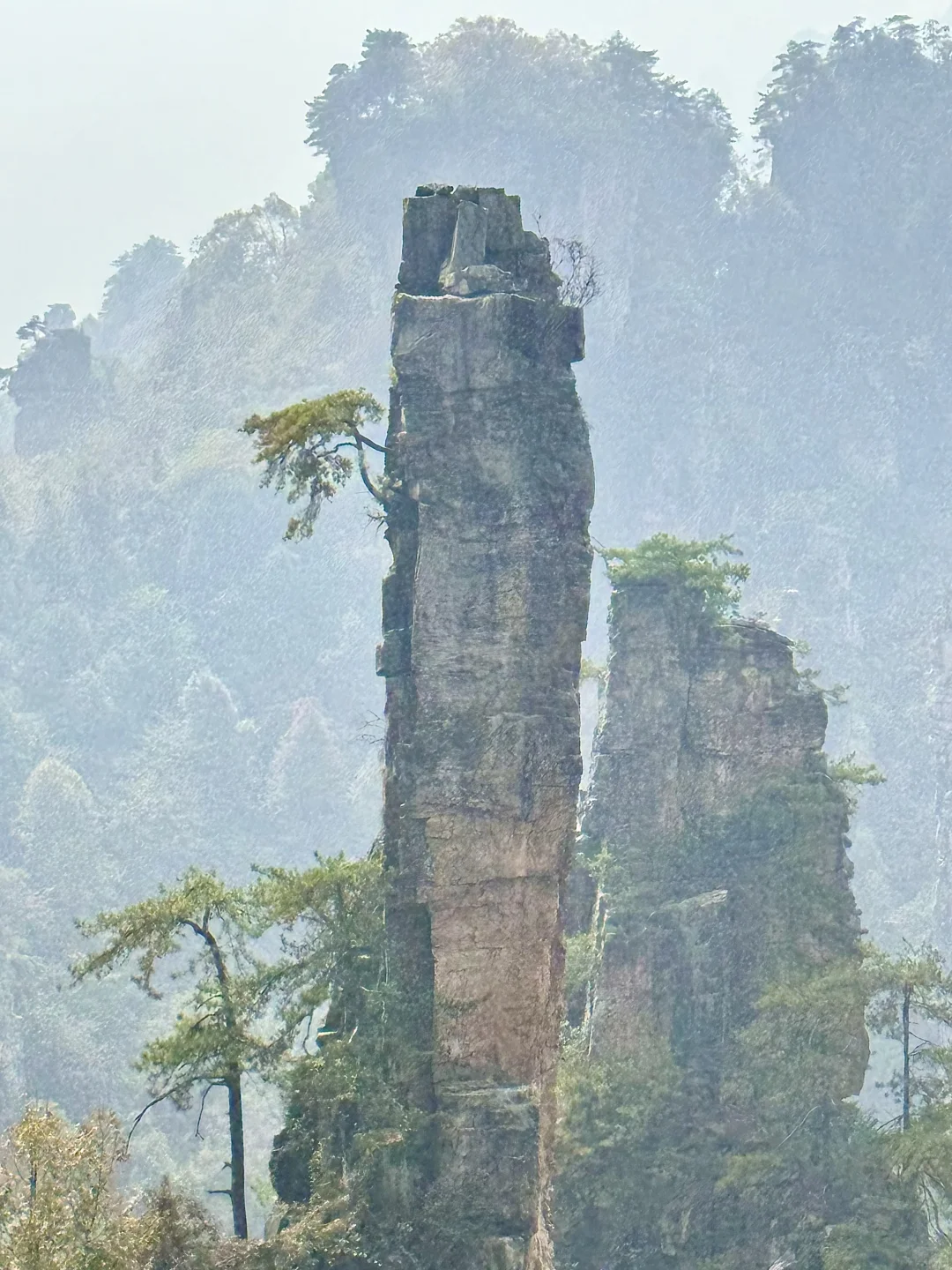 南国之旅9: 湖南张家界