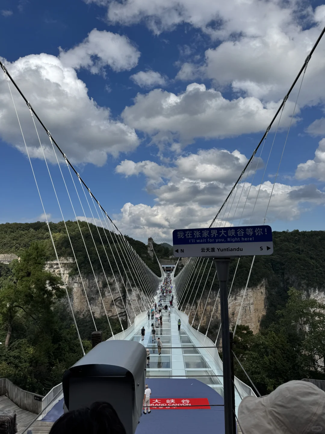 今天是蓝调的一天张家界之旅🪂