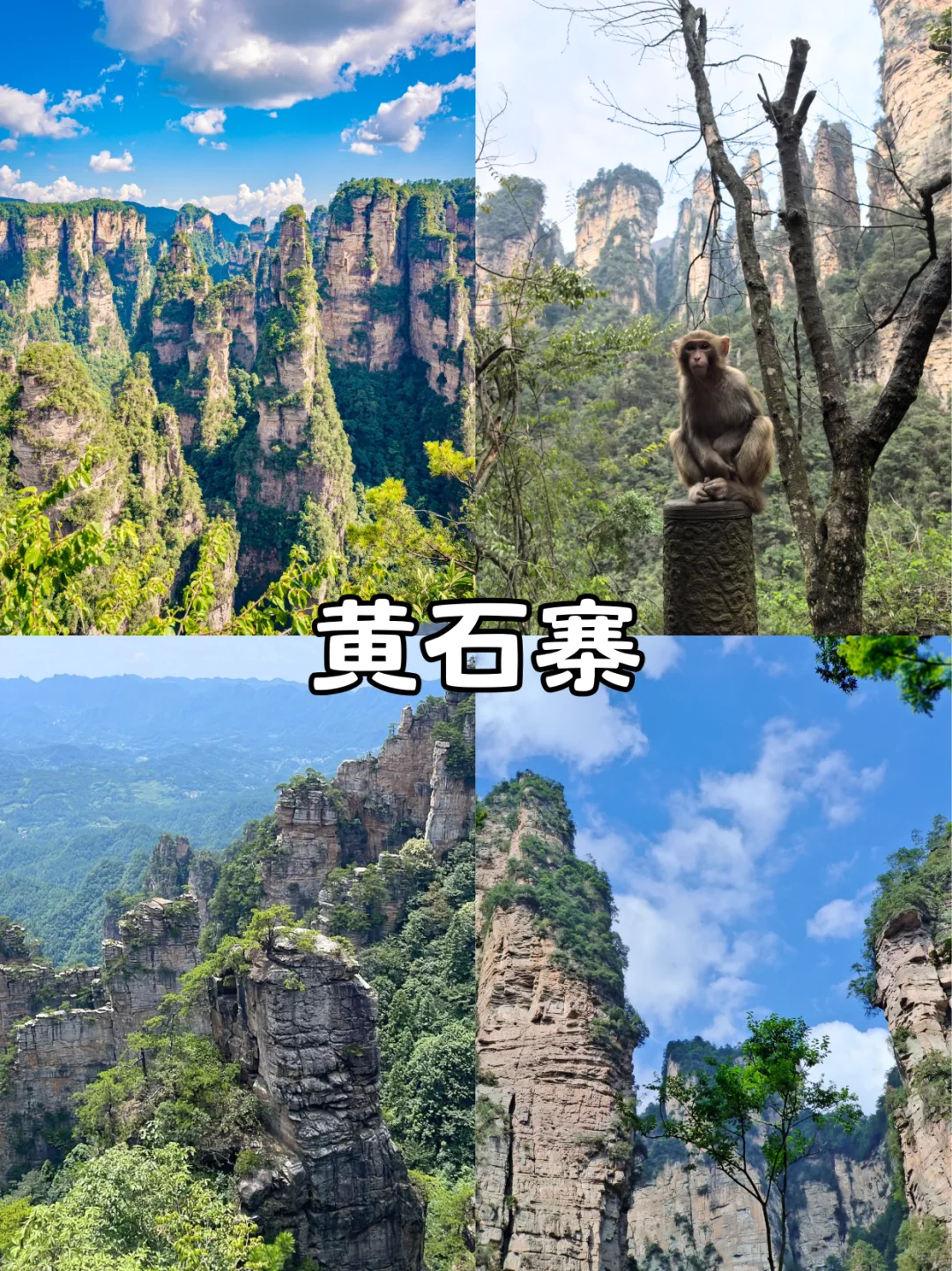 张家界三索一梯，太震撼了！快来快来