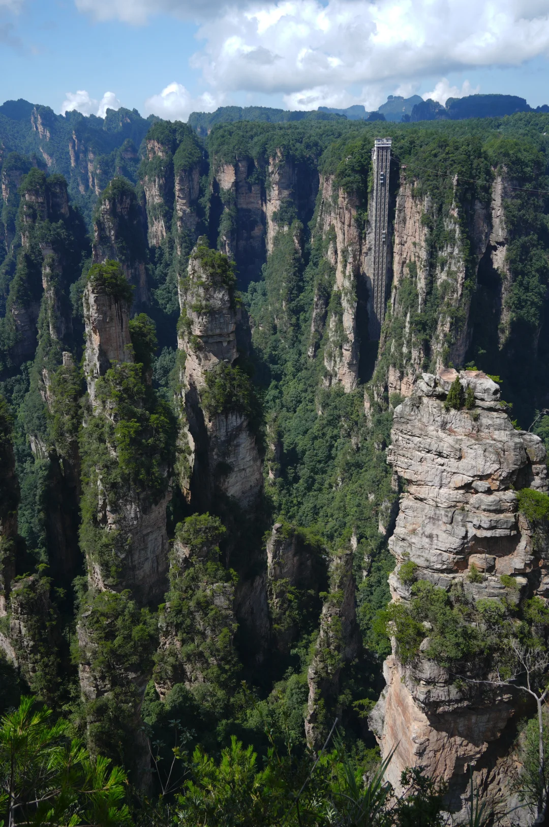 张家界刚回，再也不听小红书乱说了😭