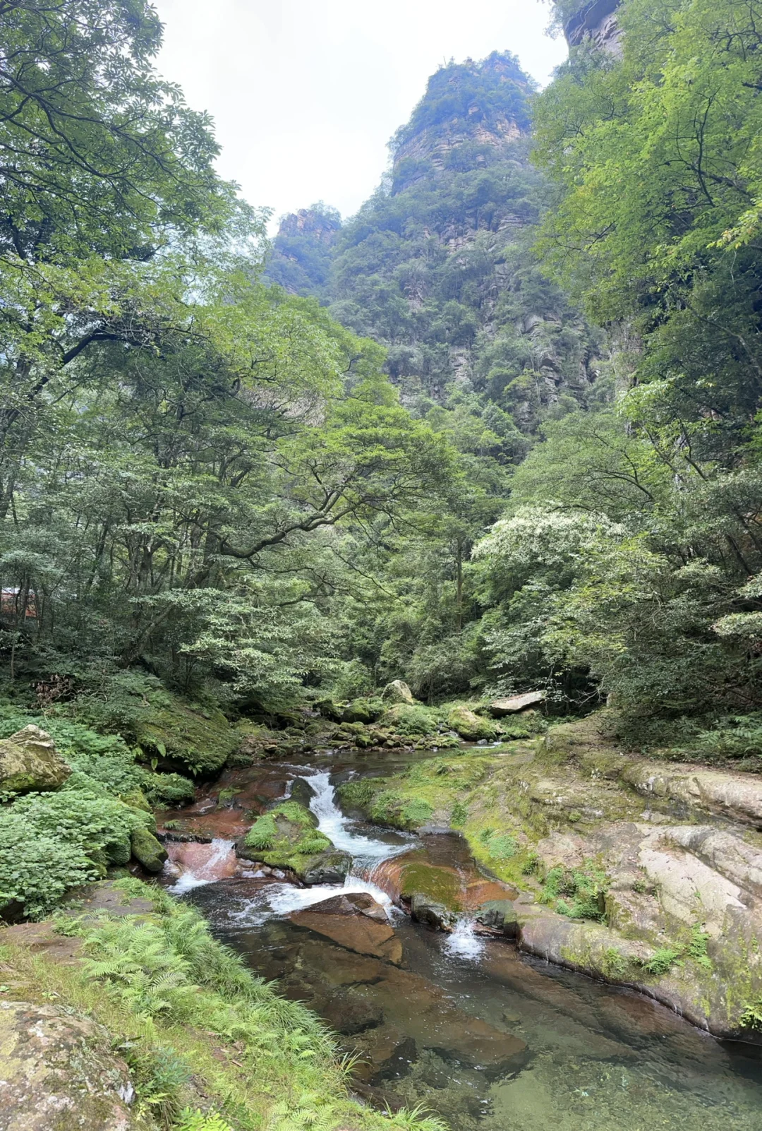 1️⃣适合带爸妈的张家界不费腿攻略