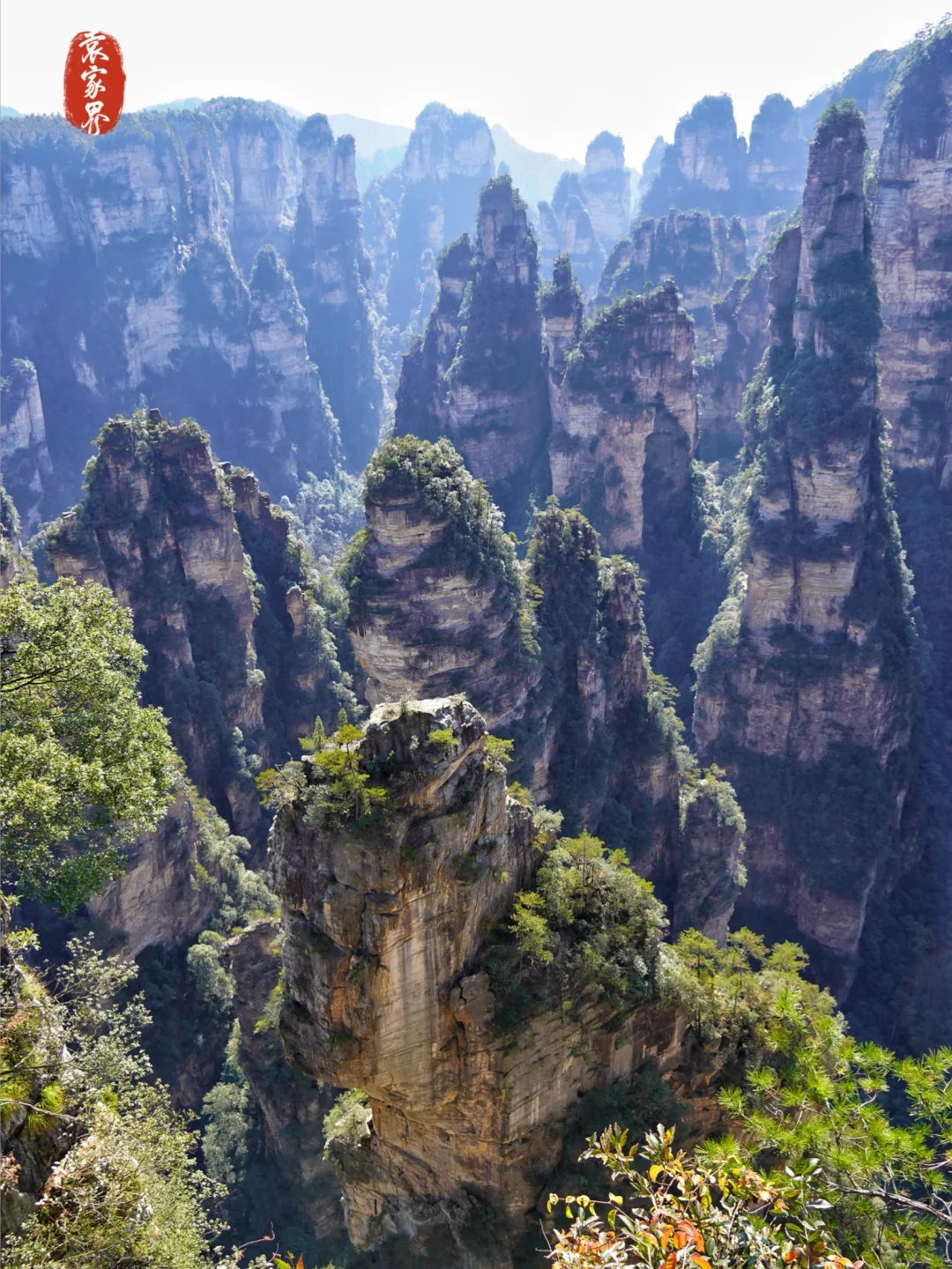 强推淡季的张家界‼️附攻略地图