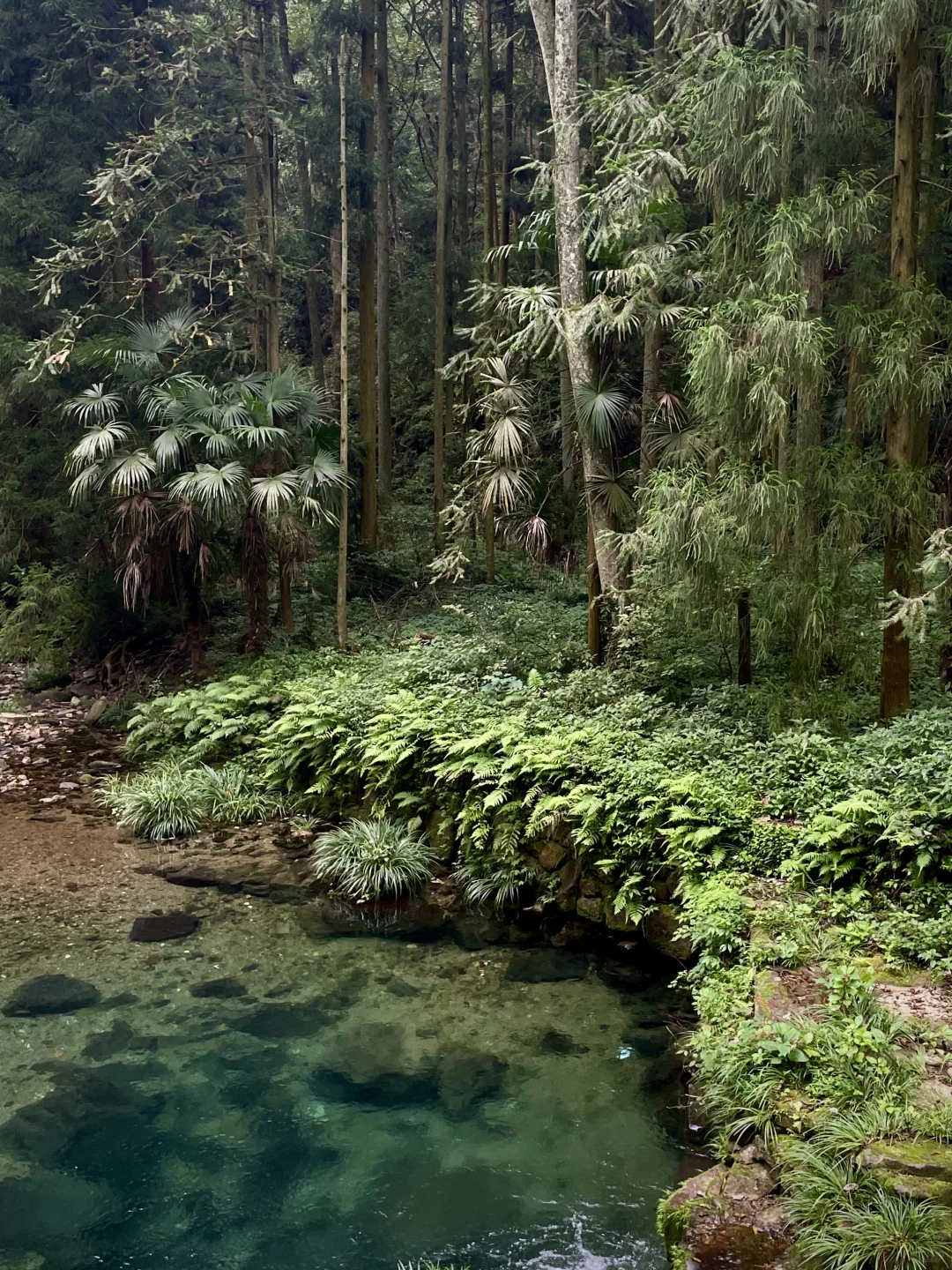 张家界｜大自然的鬼斧神工