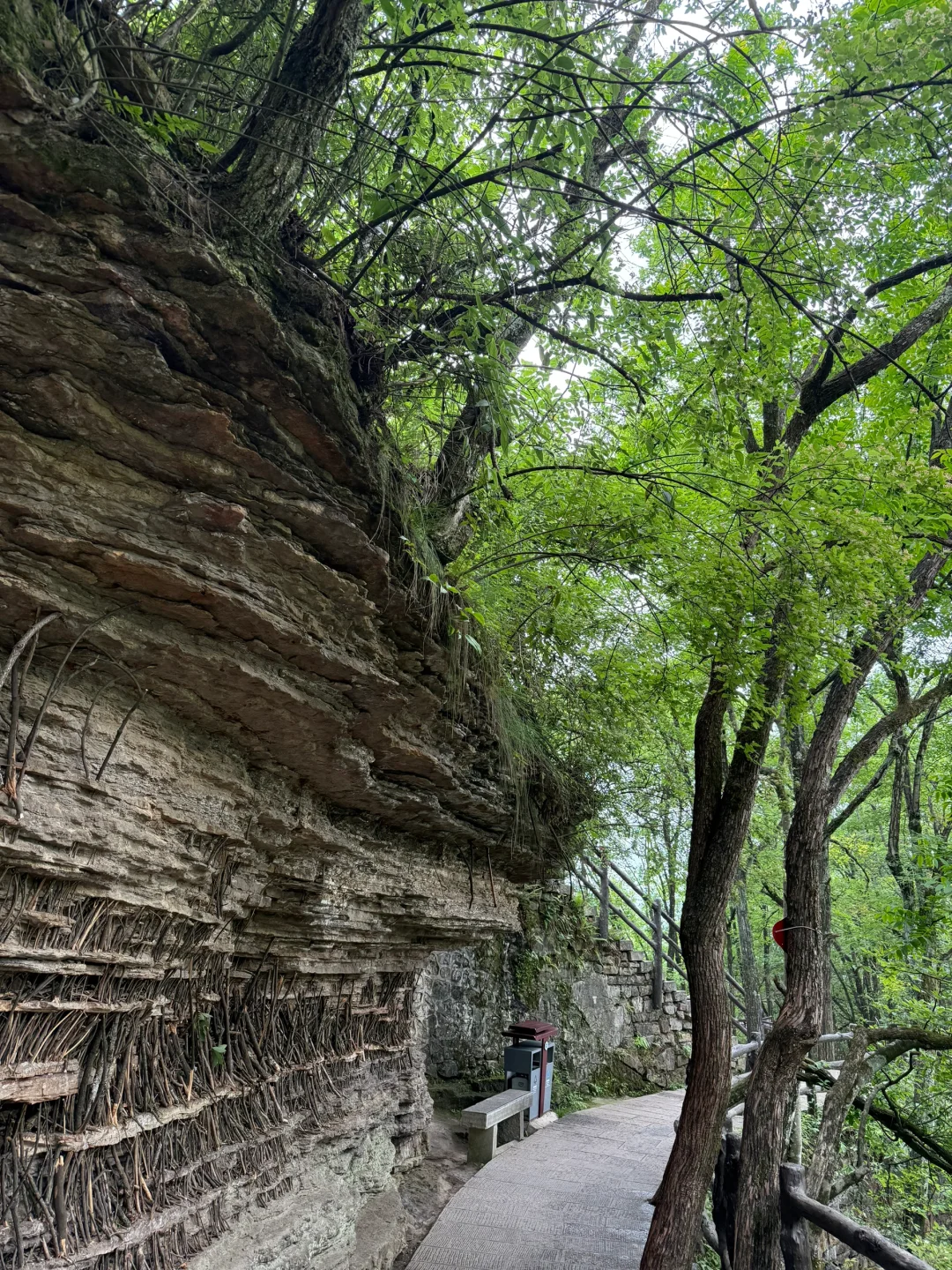 中国张家界国家森林公园～