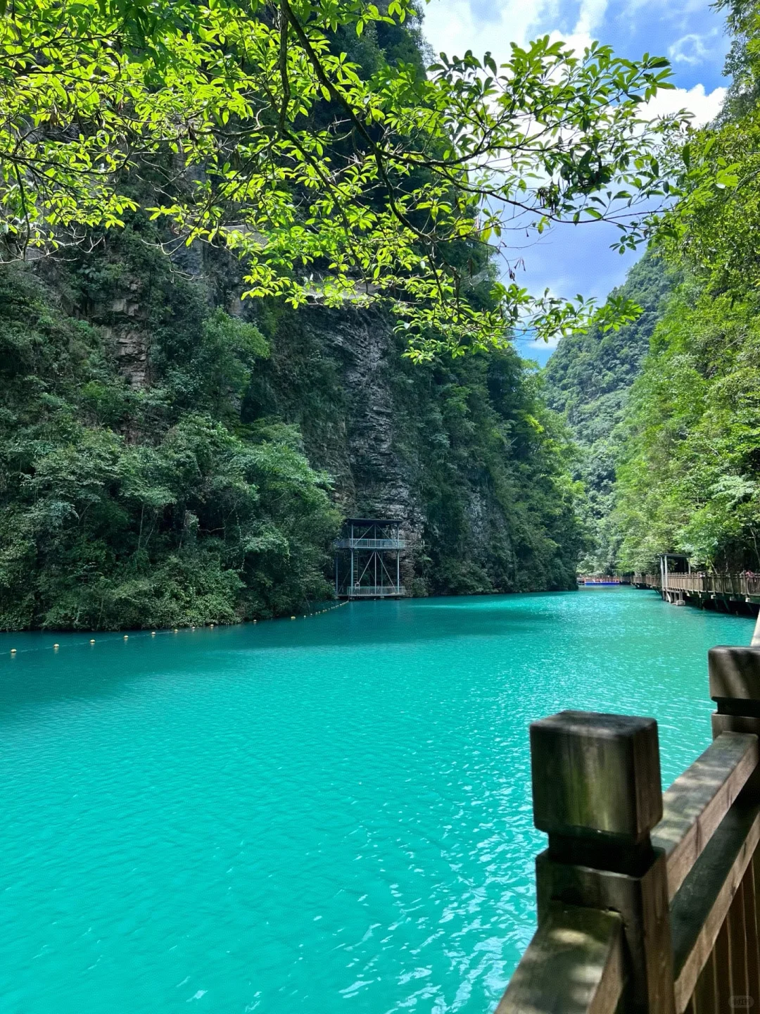 📍𝐙𝐡𝐚𝐧𝐠 𝐉𝐢𝐚 ?