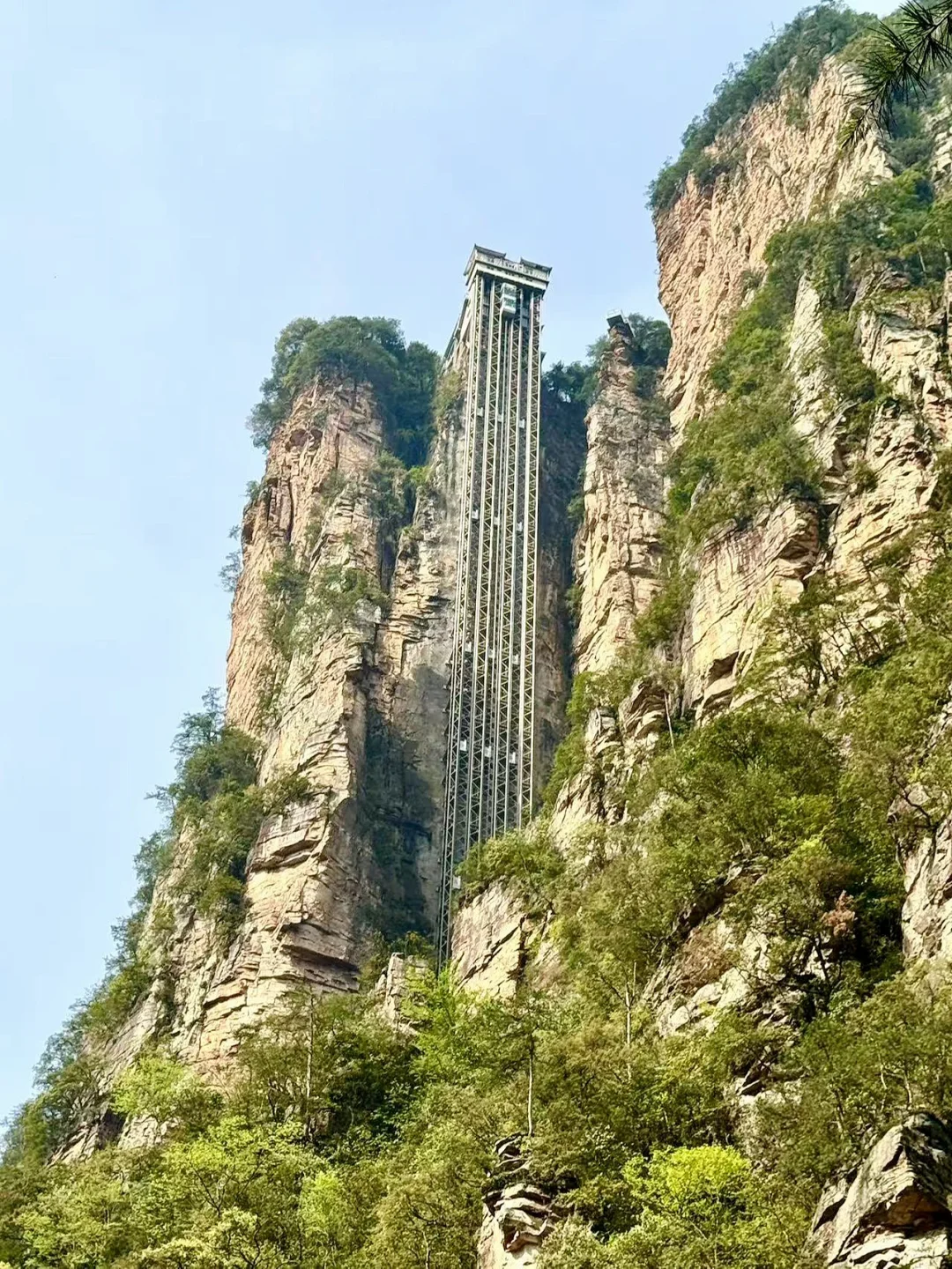 🌿闯入阿凡达星球！打卡张家界国家森林公园✨