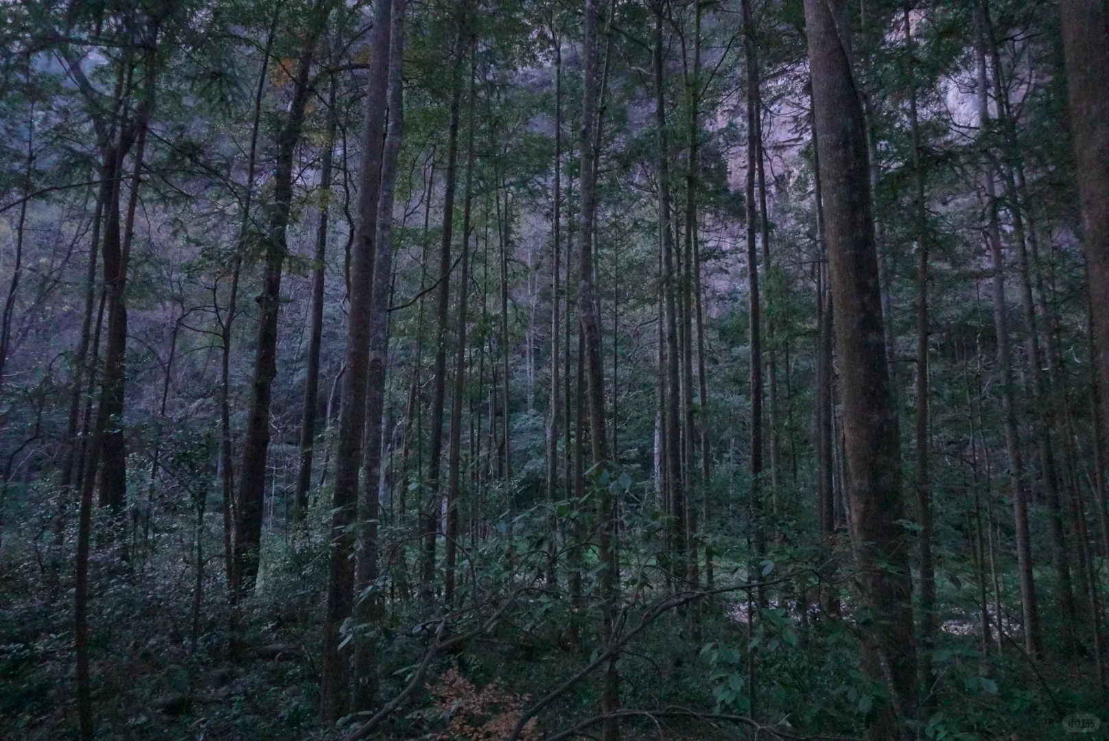 到站张家界第三天