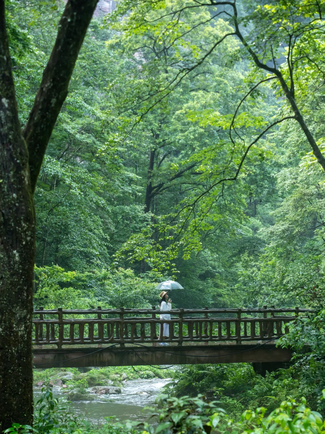 作为湖南人，真的后悔才来张家界，附详细路线