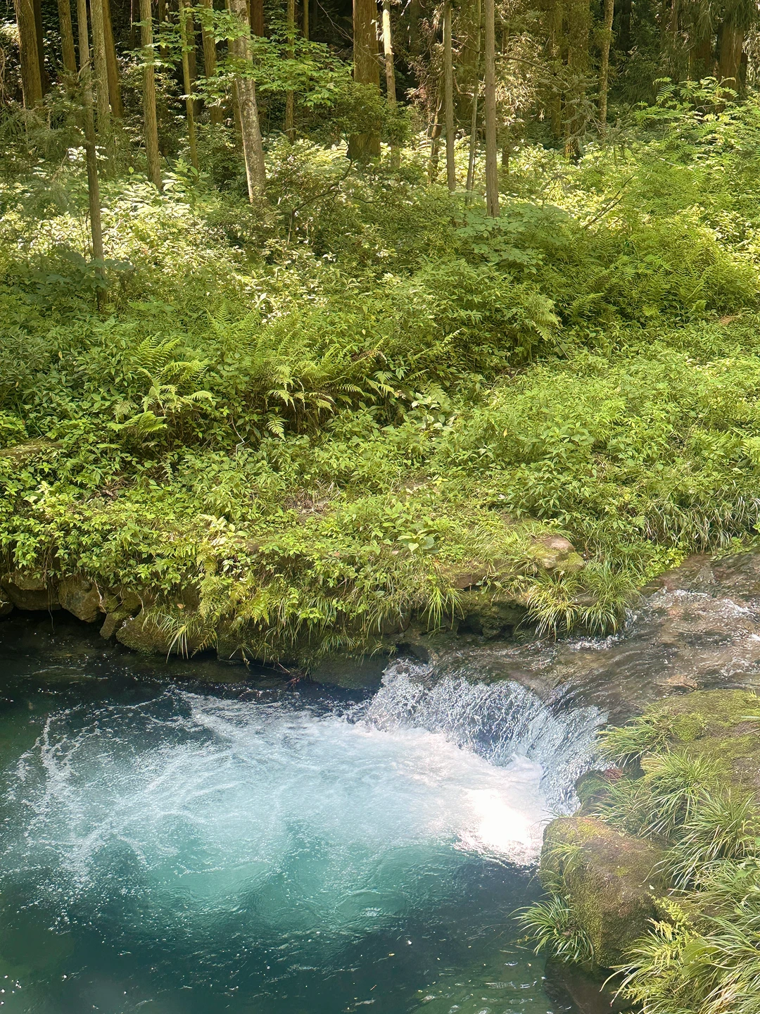 📍 𝐙𝐡𝐚𝐧𝐠 𝐣𝐢𝐚 𝐣𝐢𝐞