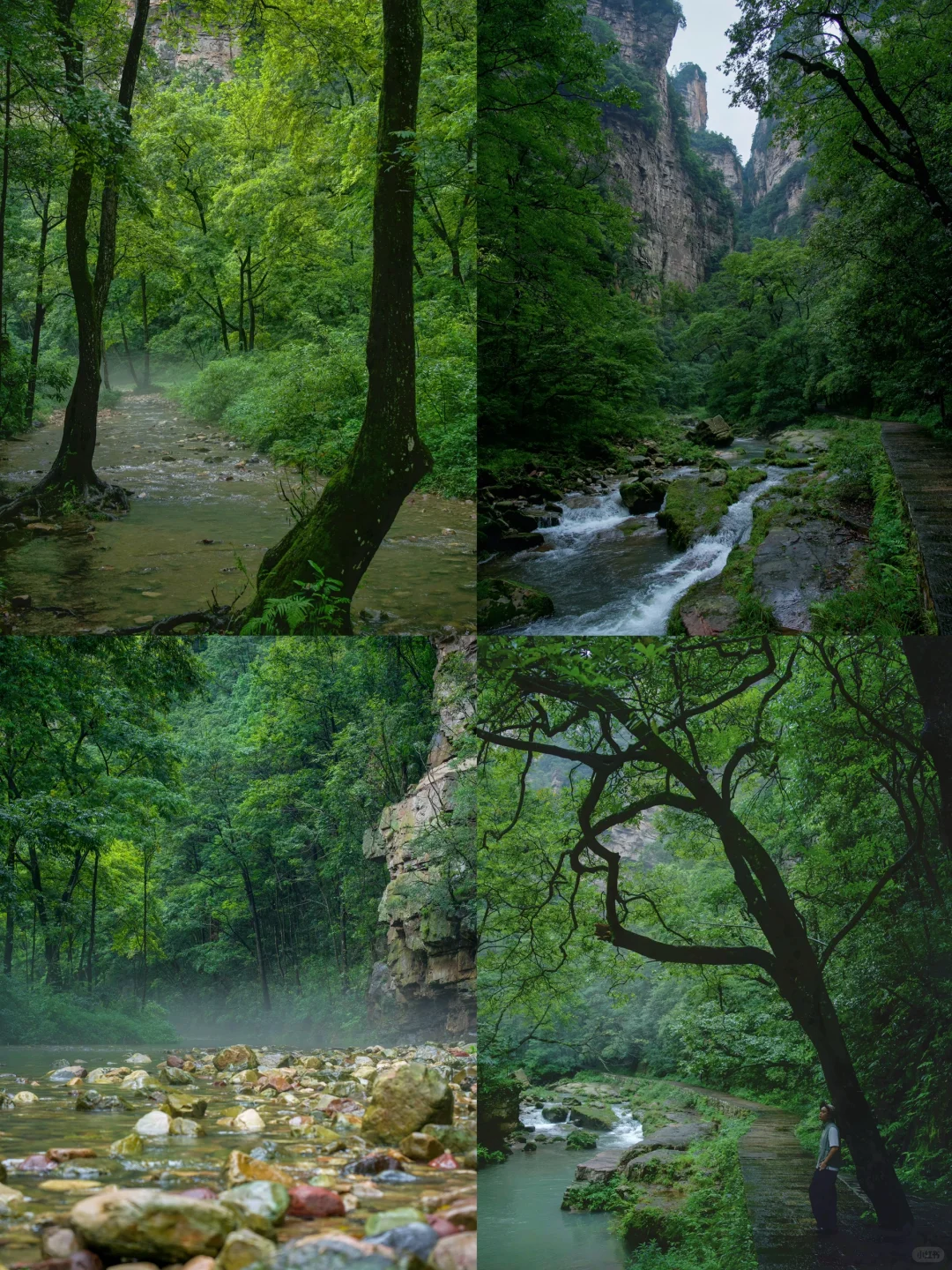 张家界刚回，美疯了！！难怪韩国人超爱🙌🏻‼️