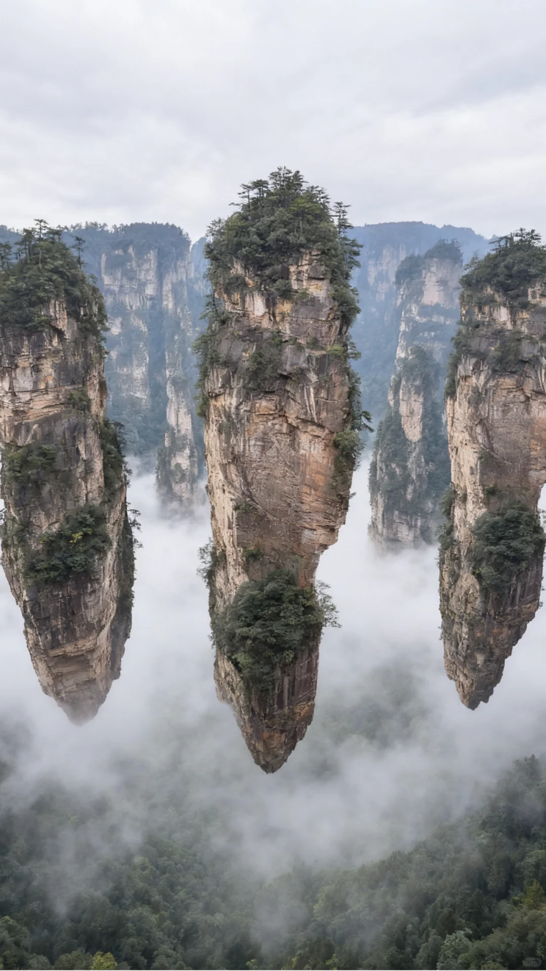 一来一个不吱声，张家界竟然有这样的山
