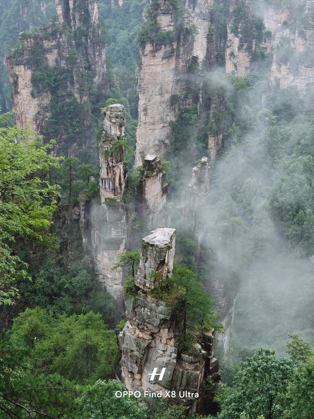 去了张家界，才知道水墨画还是太保守了……