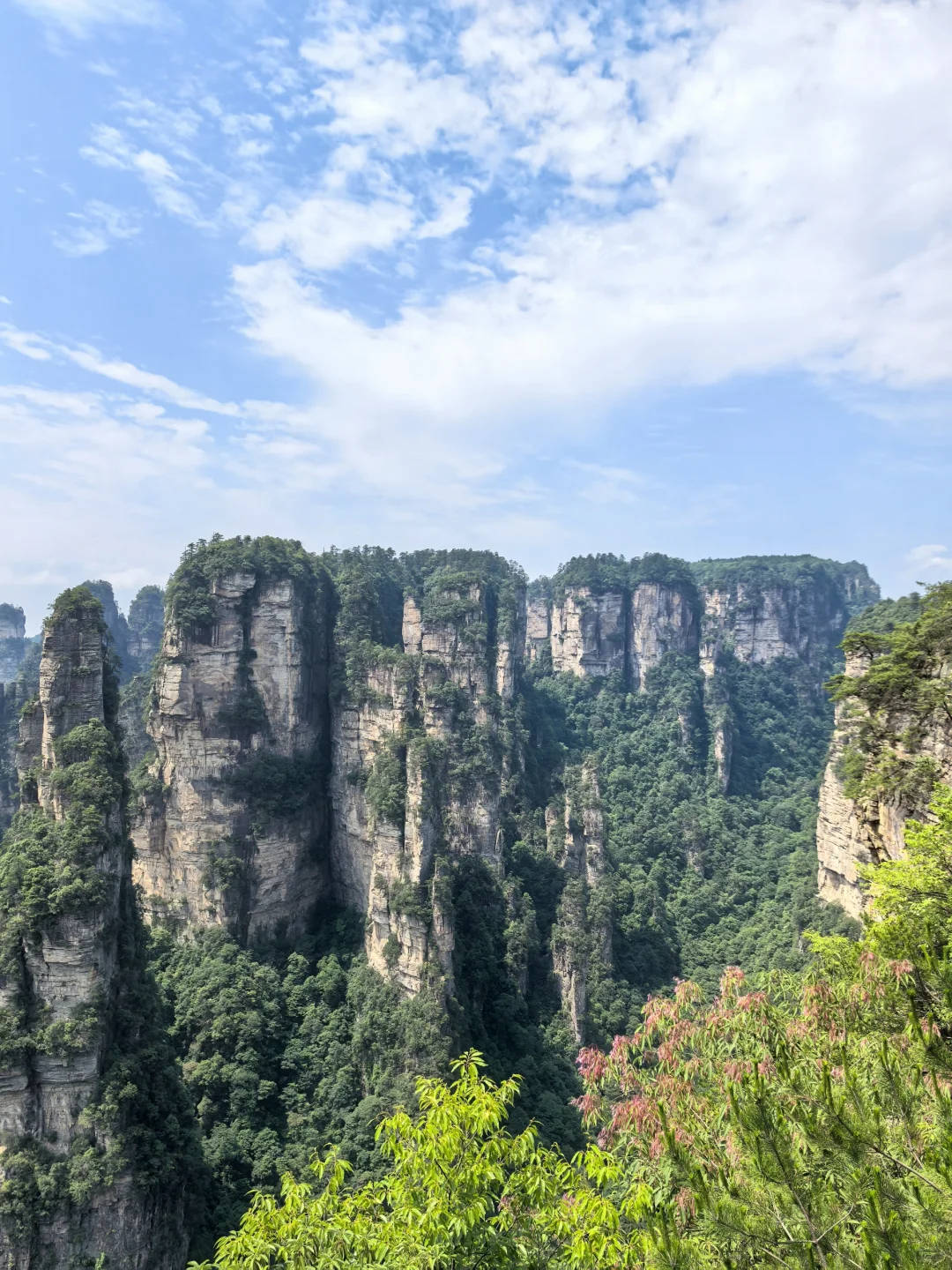 不愧是世界的张家界！！！